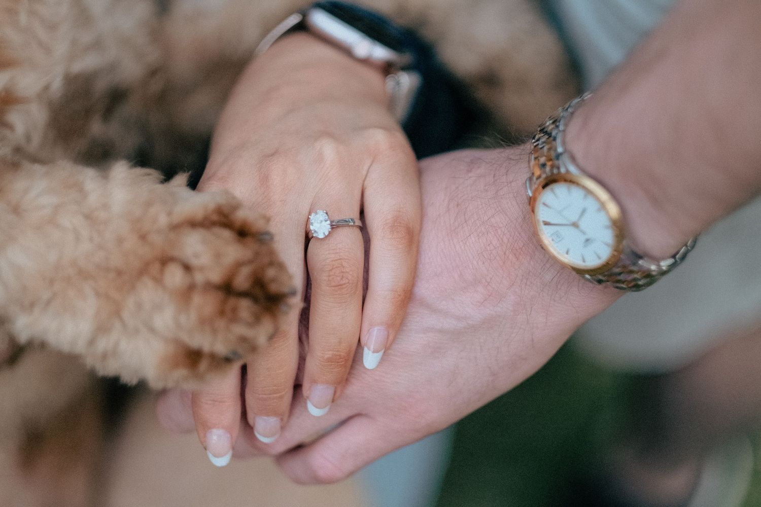 Close-up shots of hands wearing engagement rings with diamond solitaires in various poses and lighting conditions.