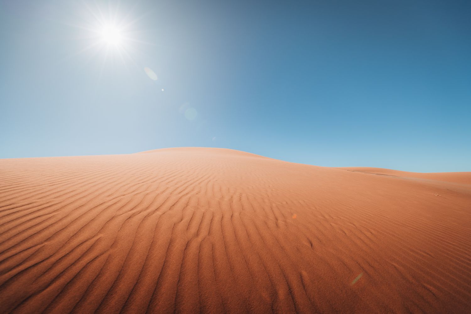 Sand dunes ripple across a desert landscape under bright sunlight and clear blue sky.