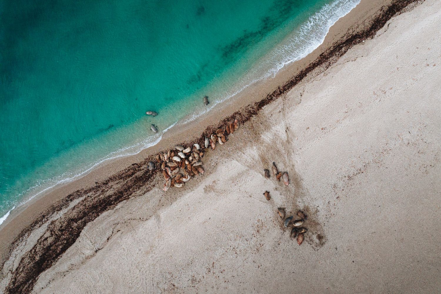 Aerial view of beach showing turquoise waters meeting a sandy shore with dark tracks cutting through the pale sand.