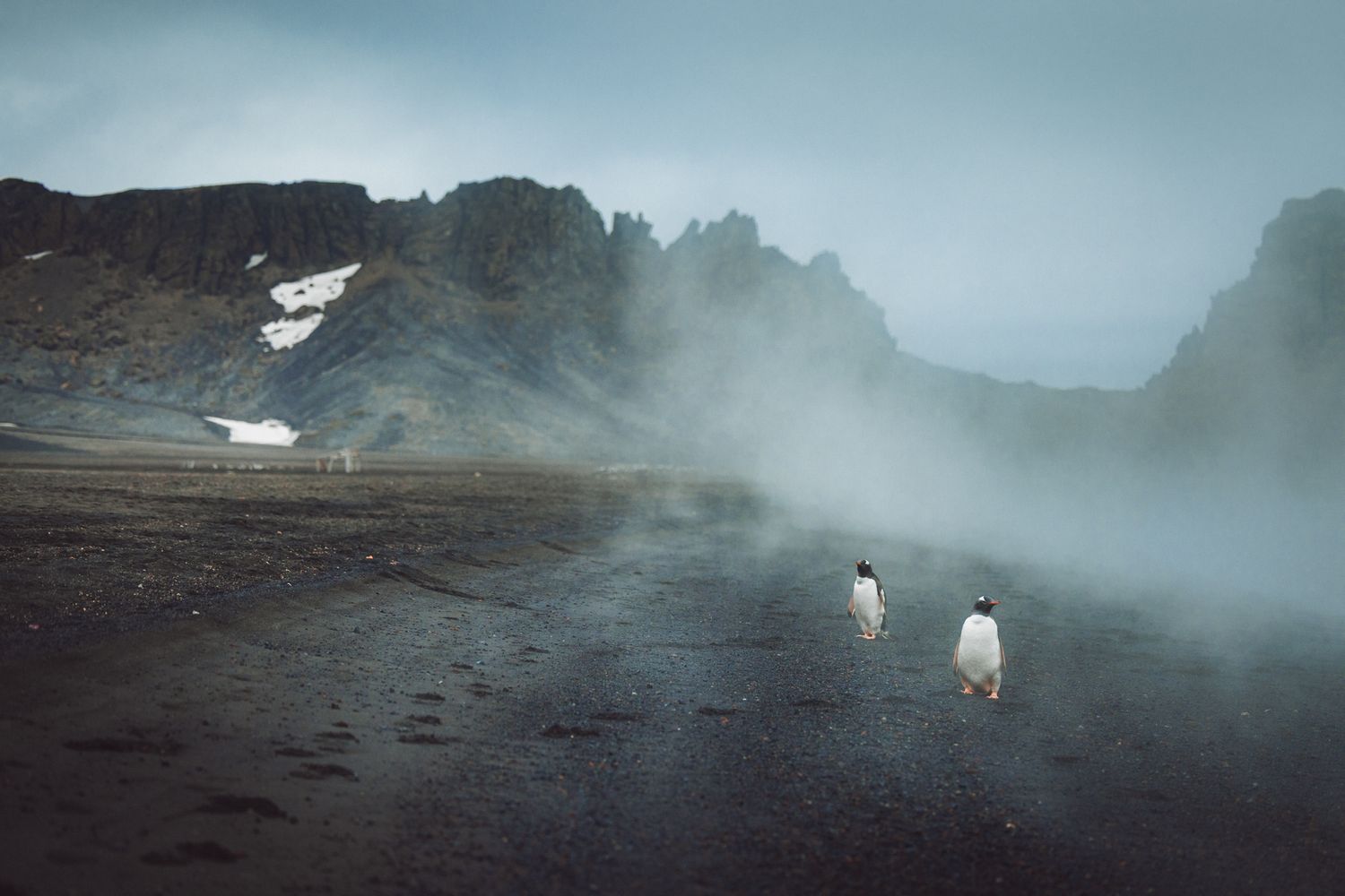 Penguins wandering through misty volcanic landscape with snow patches on dark rocky terrain in moody weather.