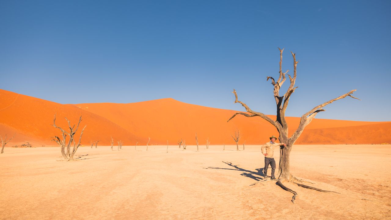 Dead trees standing in orange sand dunes under clear blue sky in Namibian desert.