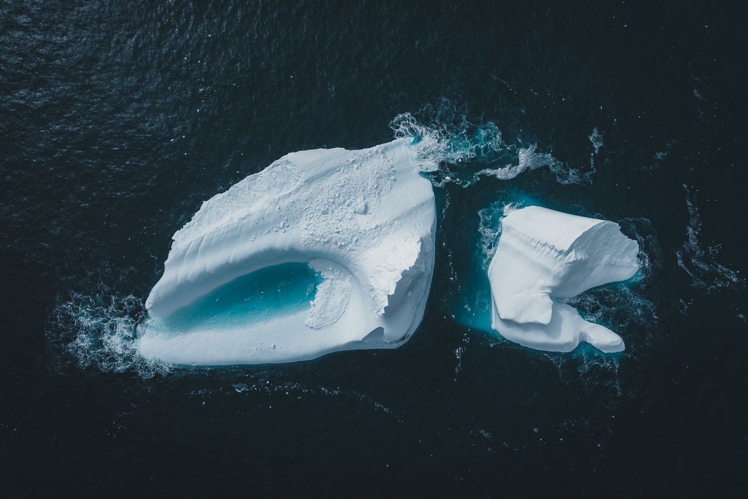 Aerial view of two white icebergs floating in dark blue Arctic waters showing distinctive aqua ice caves.
