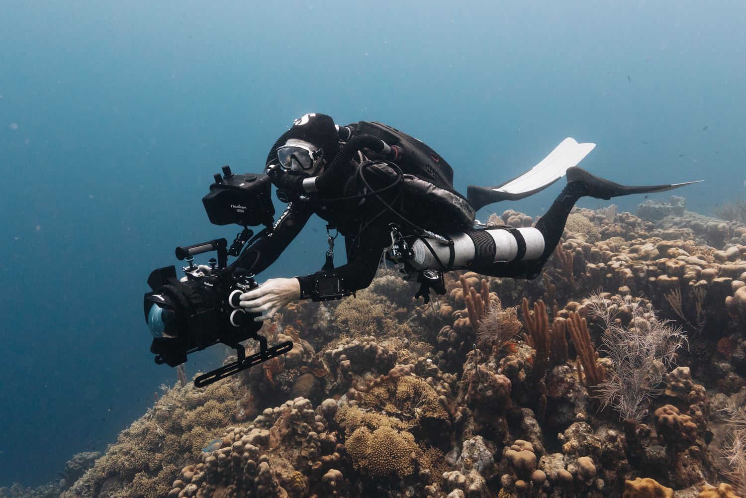 Scuba diver with camera equipment films coral reef underwater in blue ocean waters.