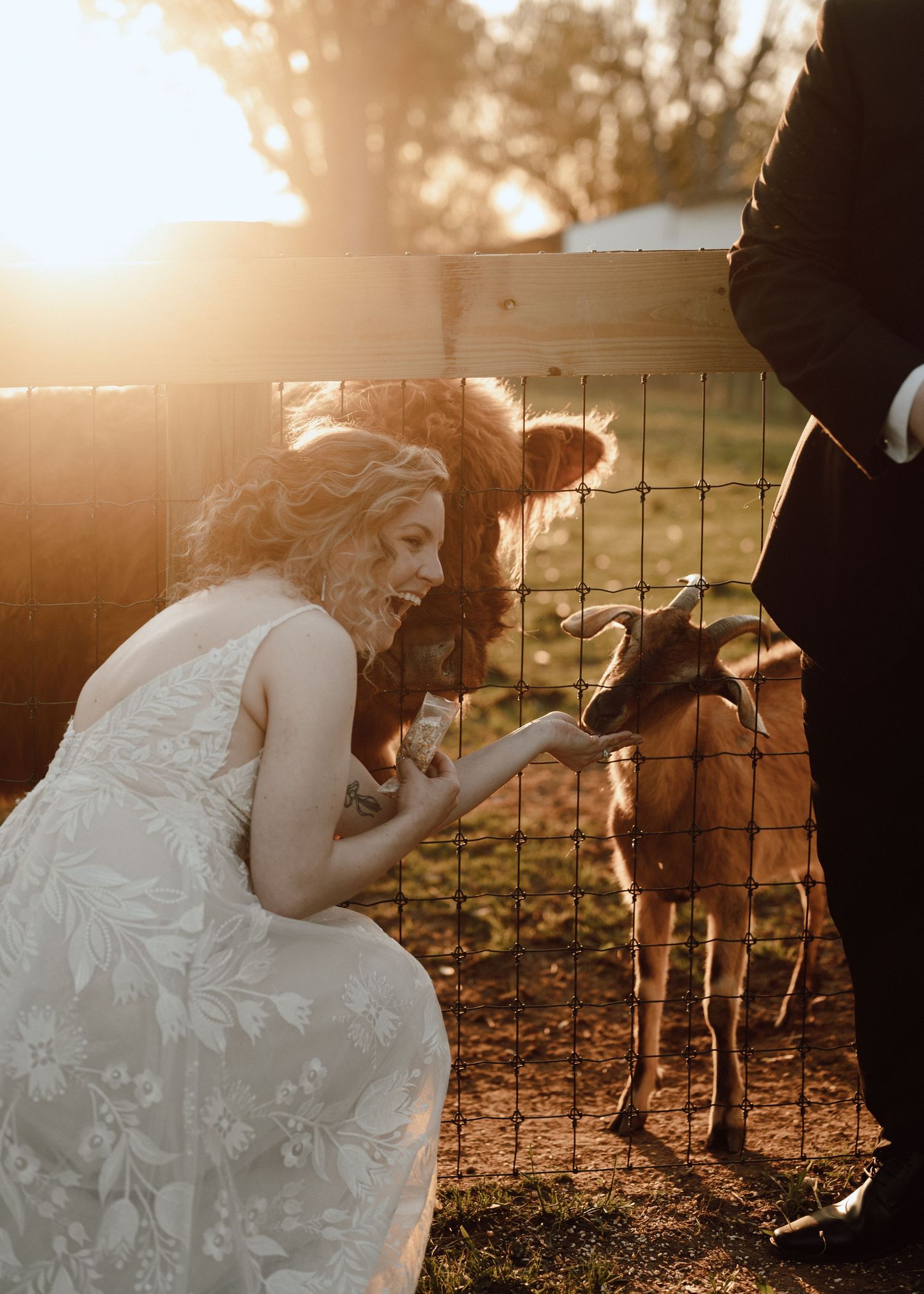 Farm wedding maryland