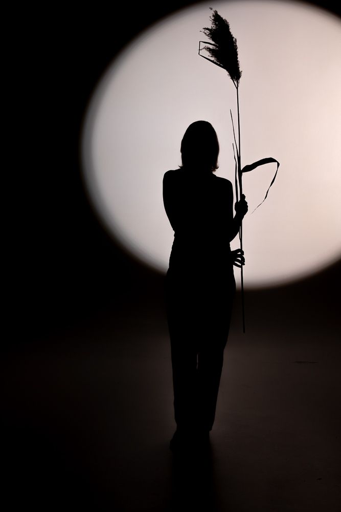 Silhouette of person holding tall grass against bright circular background.