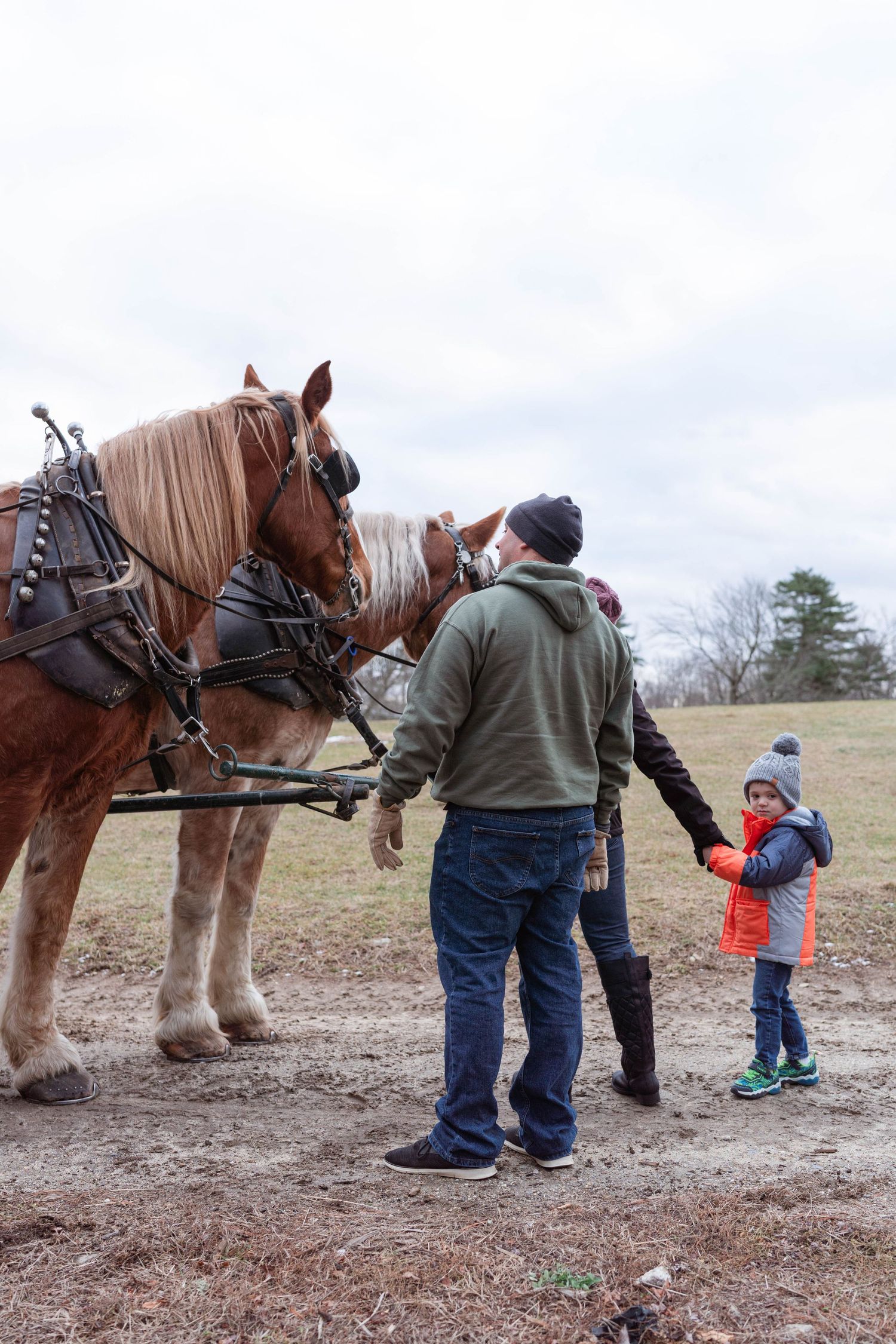family with horses