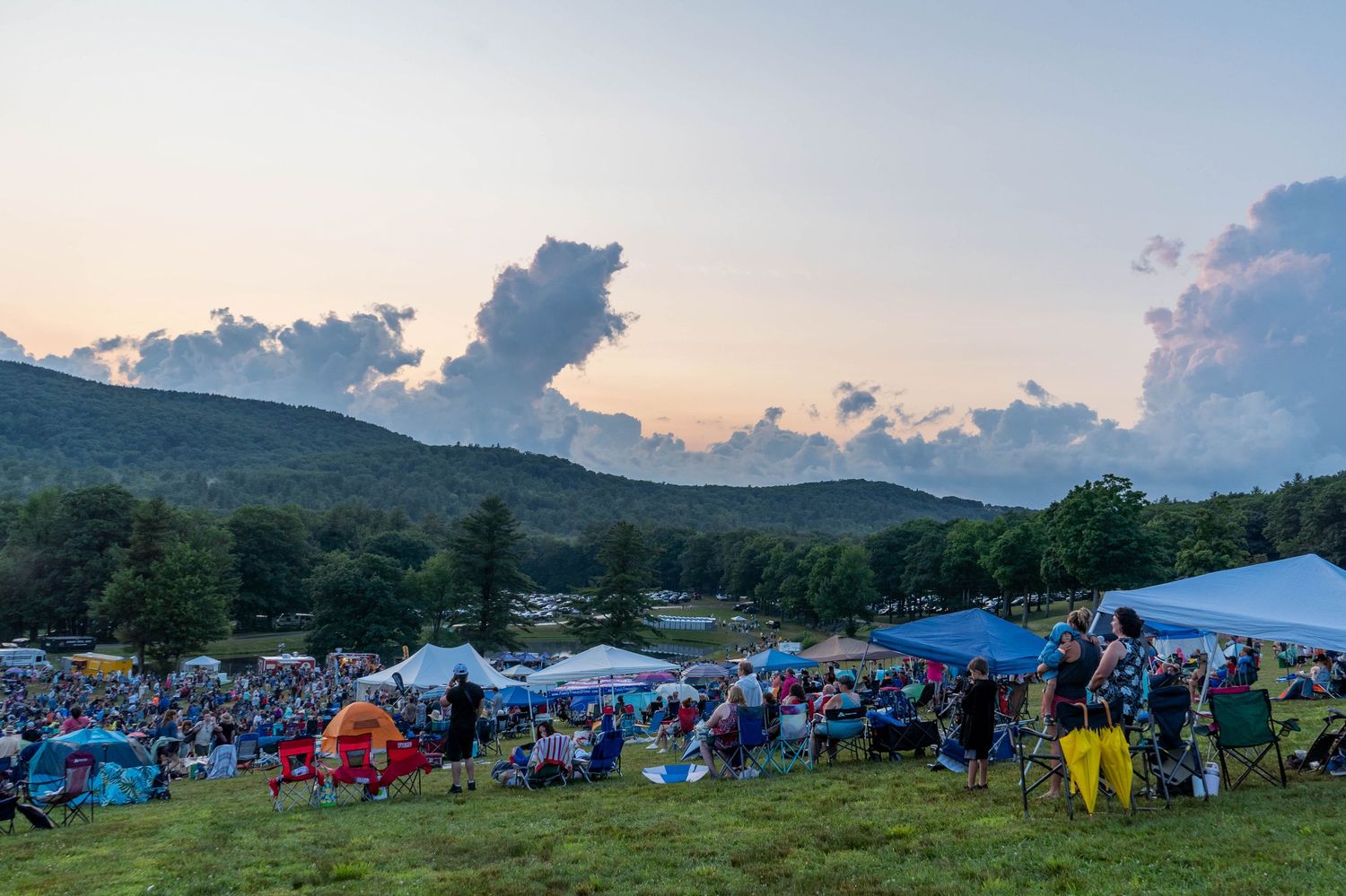 concert landscape