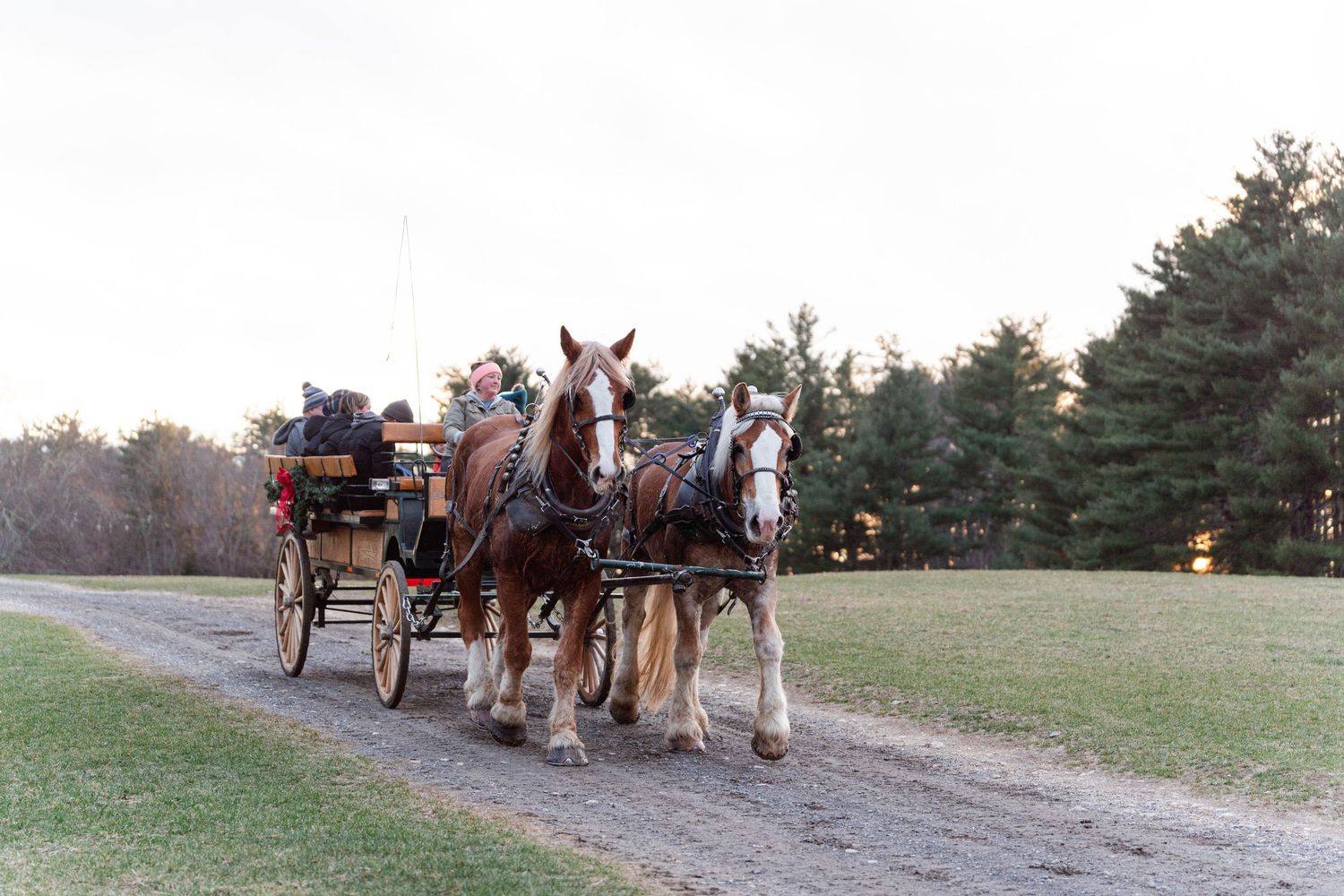horse drawn wagon
