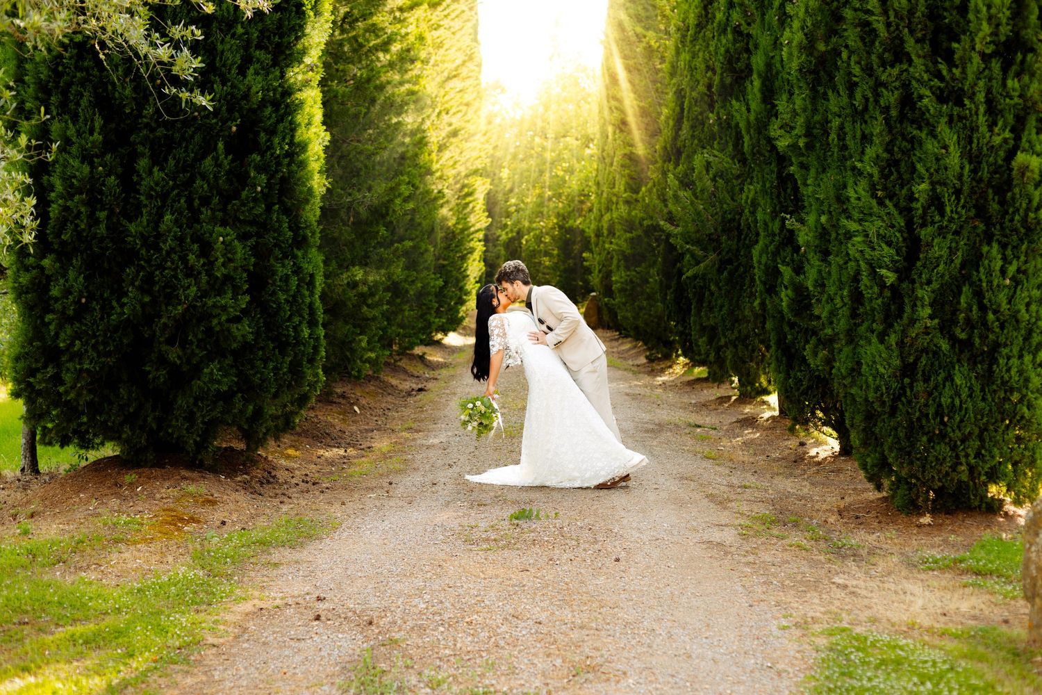 Wedding photos captured in a cypress tree-lined path at sunset.