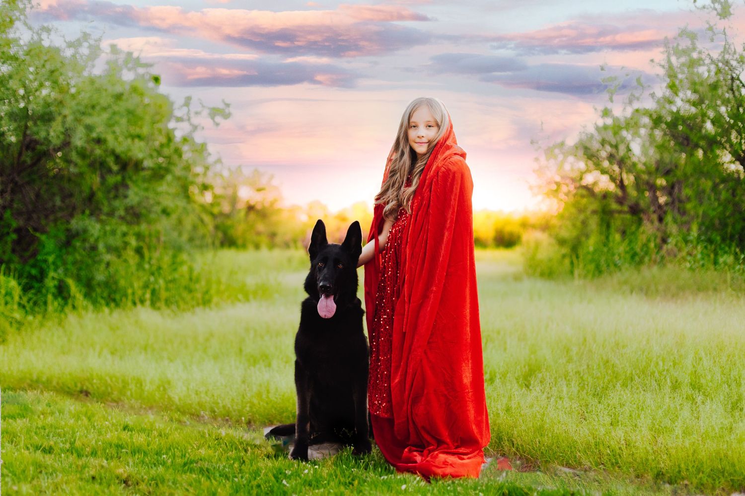 A red-cloaked figure stands beside a black German Shepherd dog in a grassy field at sunset.