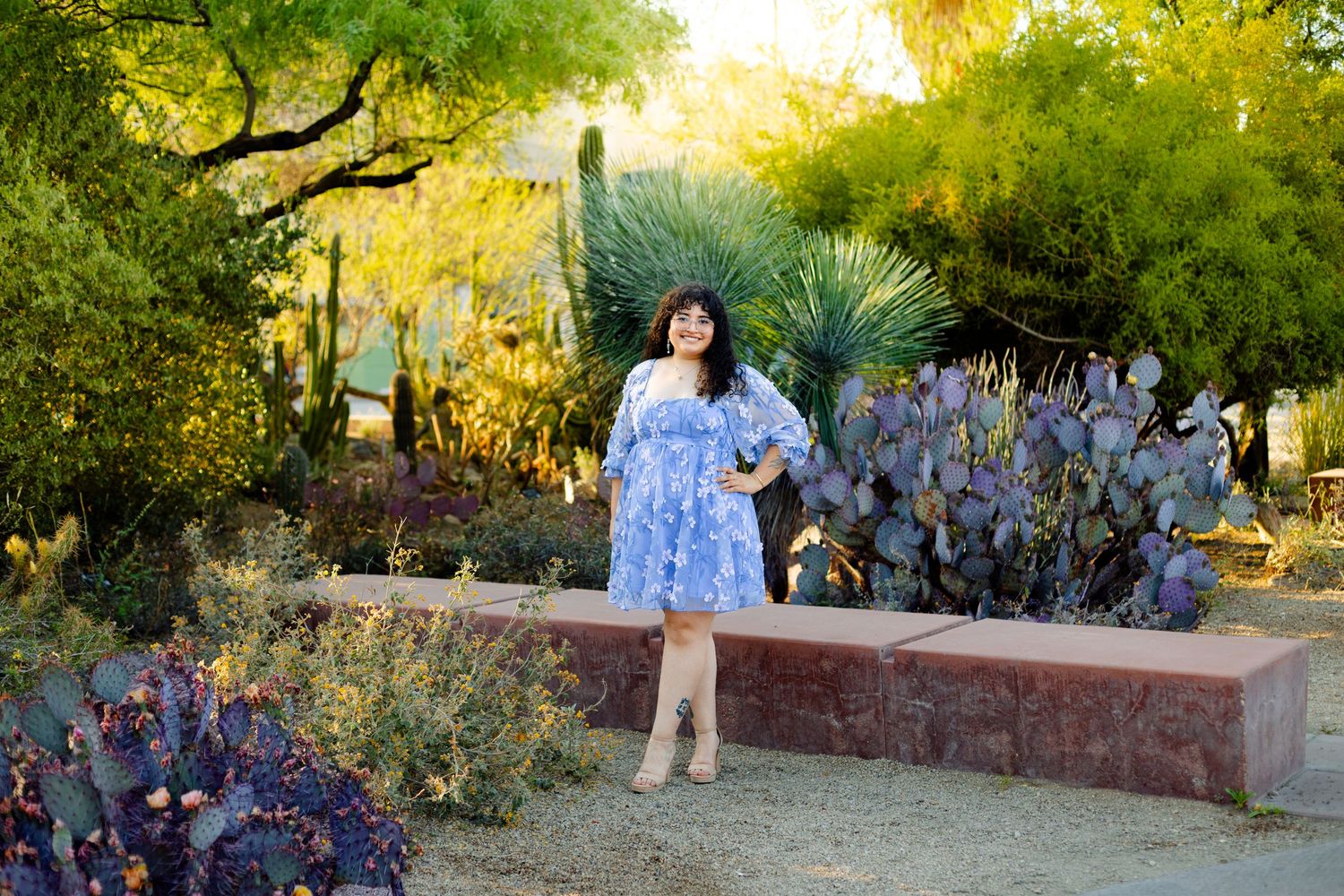 A person in a blue dress poses in a desert garden with cacti and succulents at sunset.