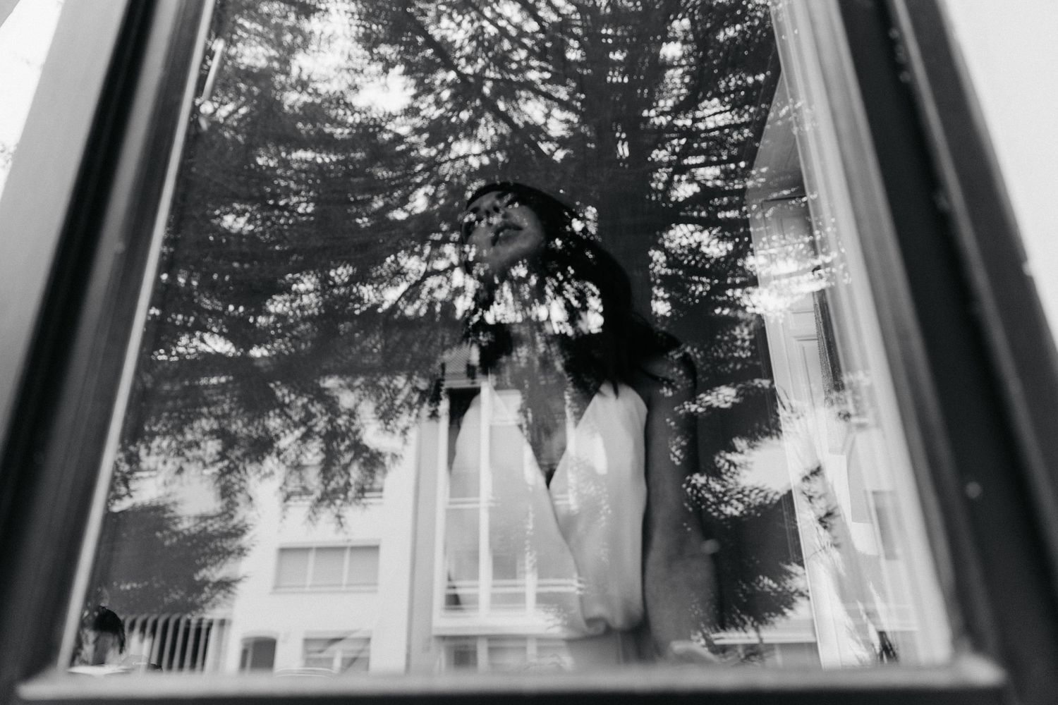 Urban scene reflected in car windows showing trees and buildings in black and white.