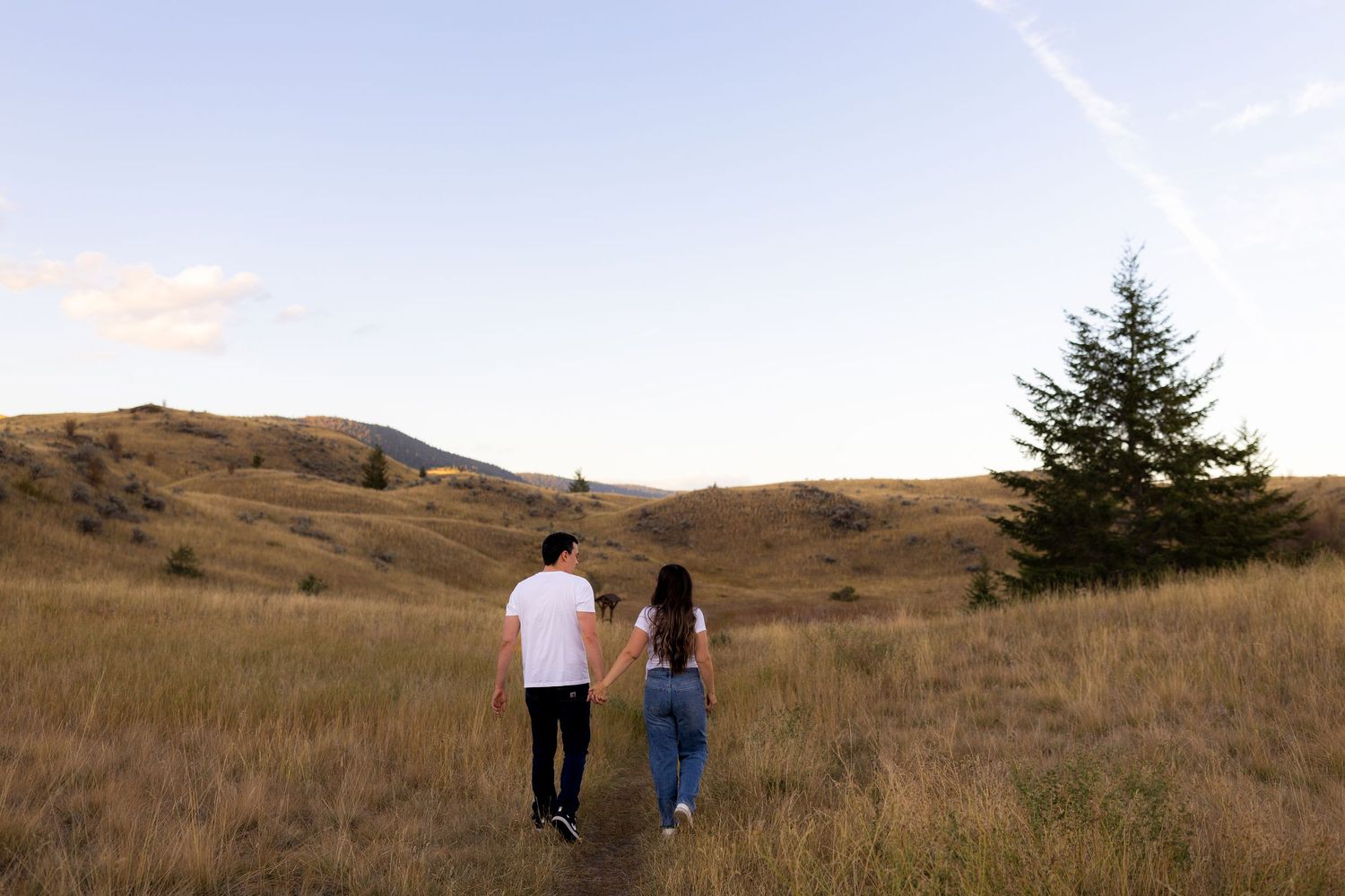 Engagement photo taken in the Lac du Bois Grasslands in Kamloops, BC.