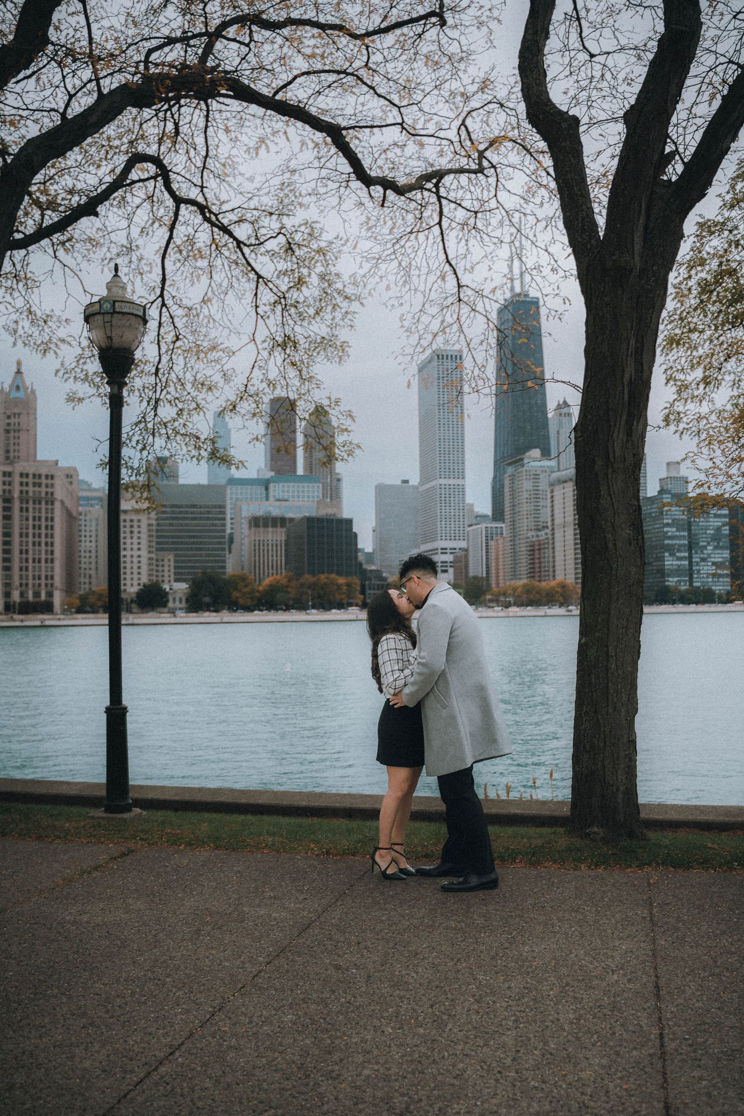 A romantic winter scene overlooking the Chicago skyline from a park with bare trees framing the view.