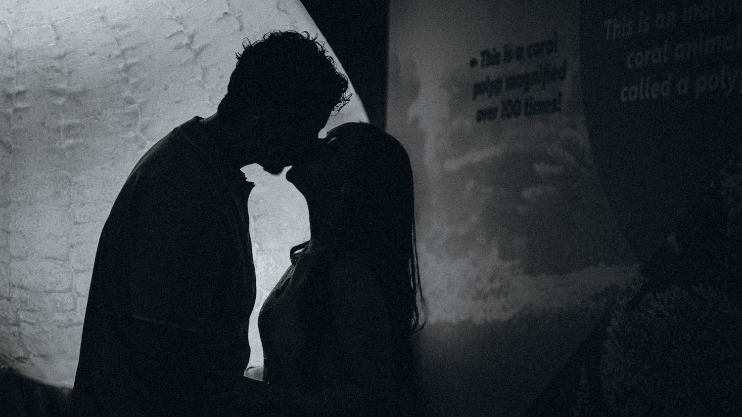 Romantic silhouette of a couple about to kiss in a dark, moody black and white setting.