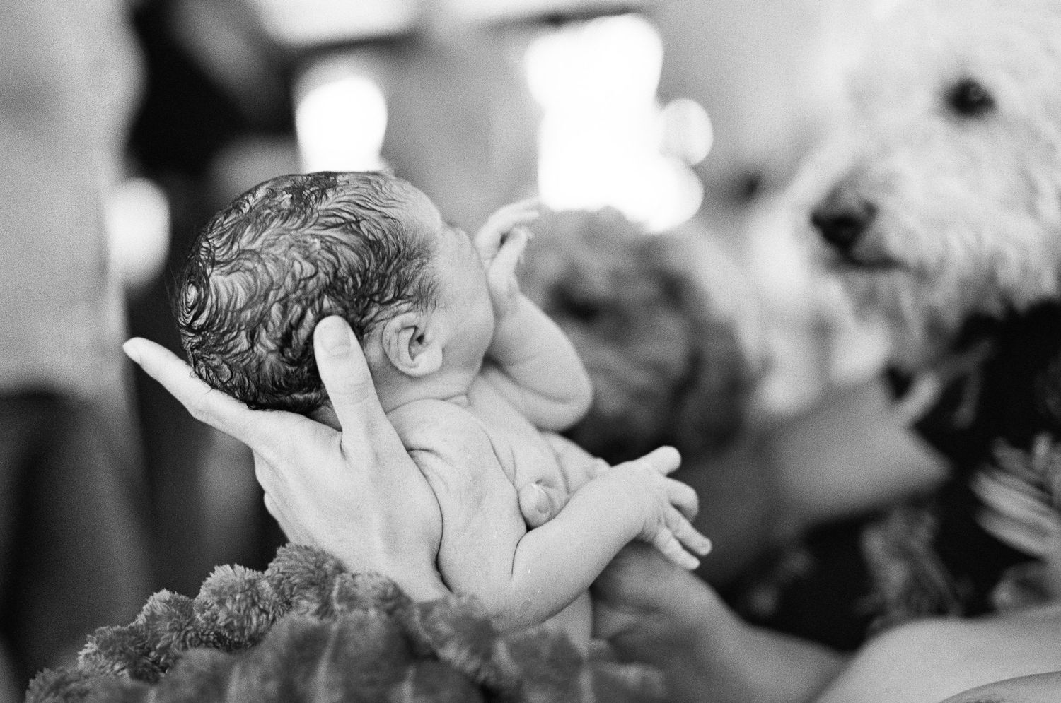 nadine luise wache; documentary style photography, cairns family photographer; analogue photographer; film photographer