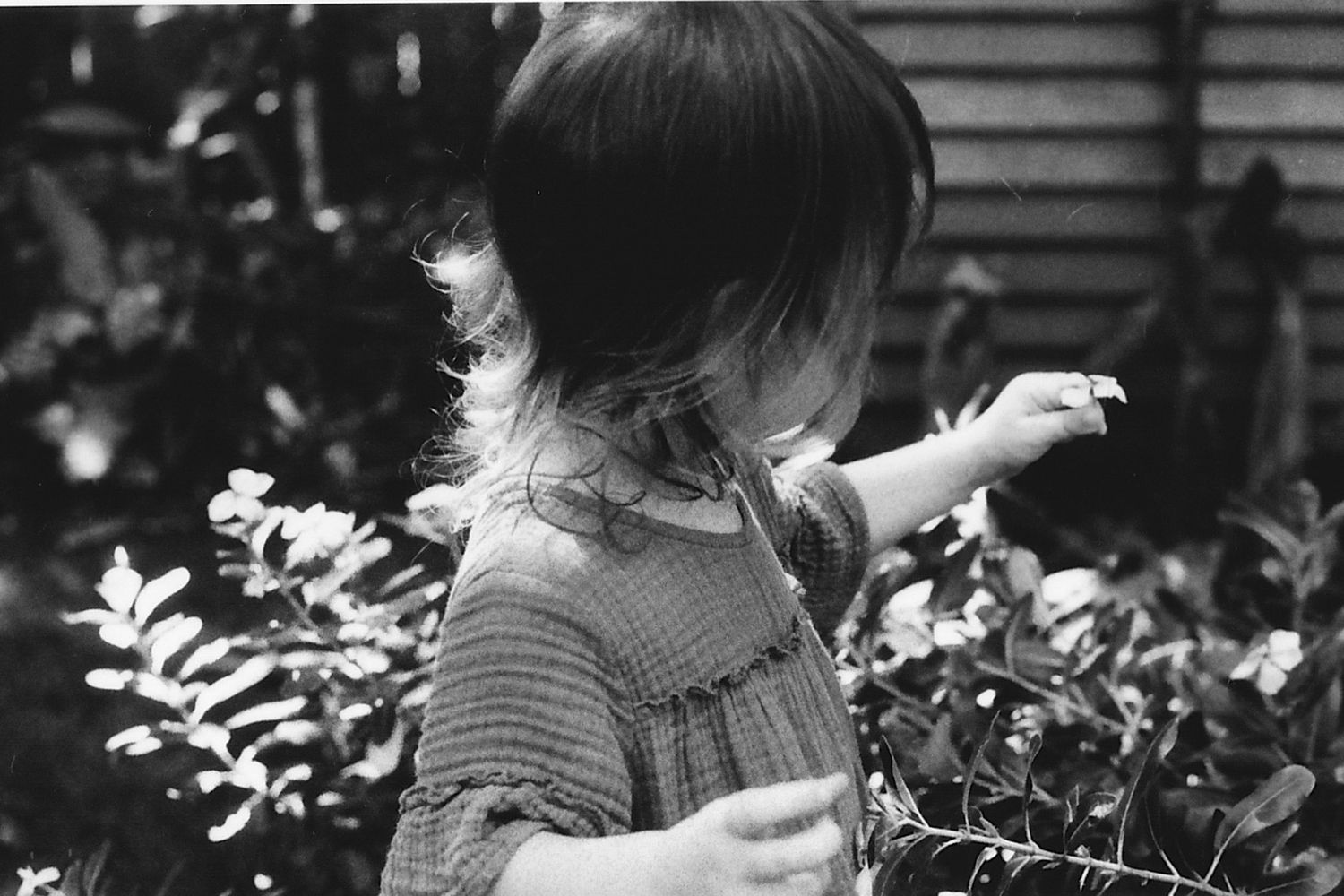 nadine luise wache; documentary style photography, cairns family photographer; analogue photographer; film photographer