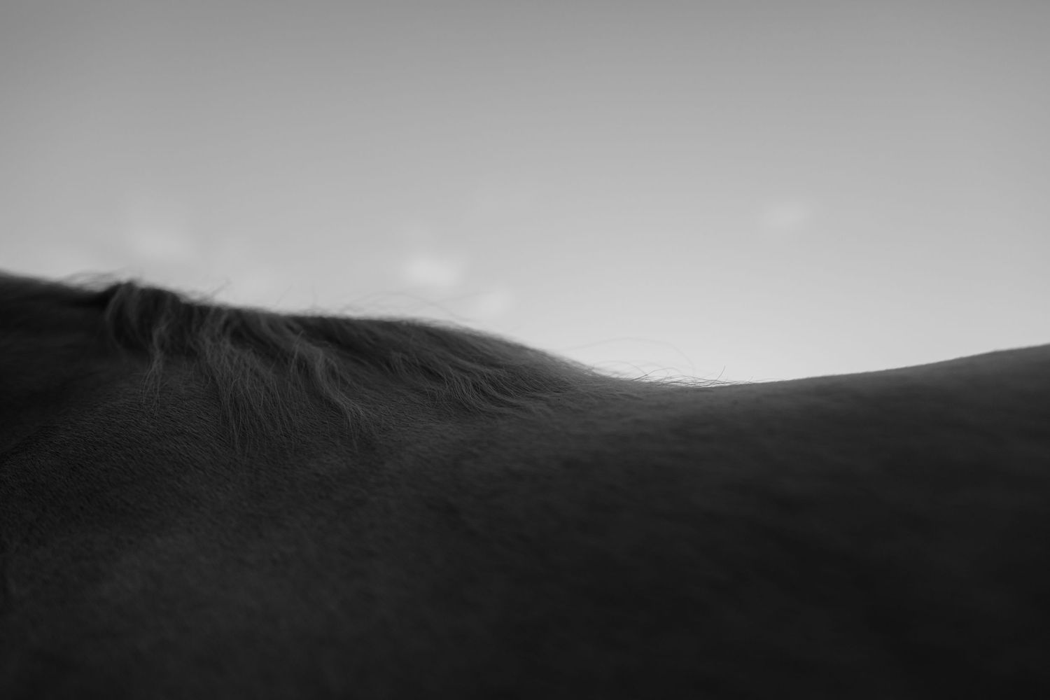 Minimalist black and white landscape of rolling hills against cloudy sky.