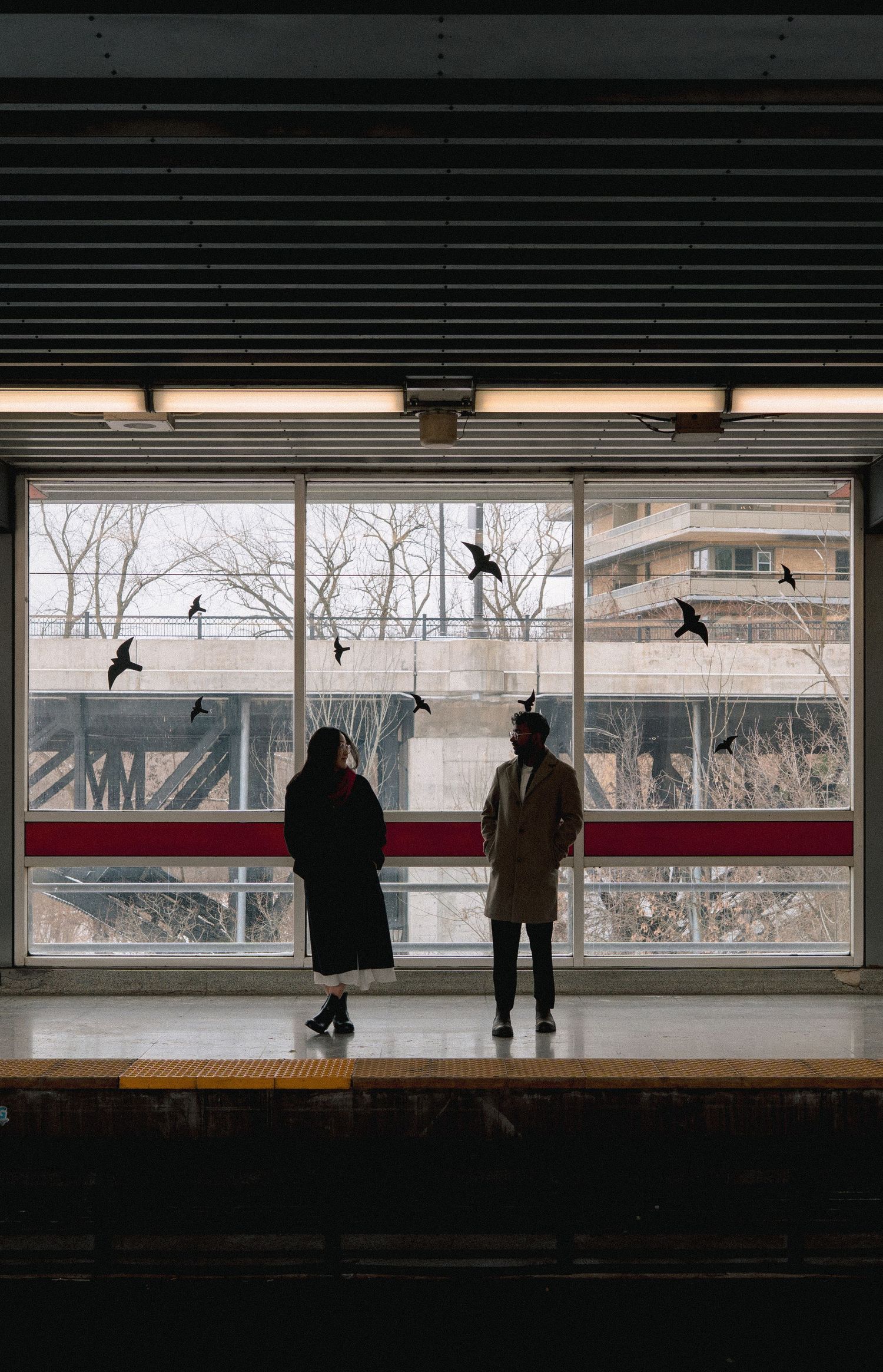 A silhouetted figure watches birds fly past large windows in a dark train station platform.