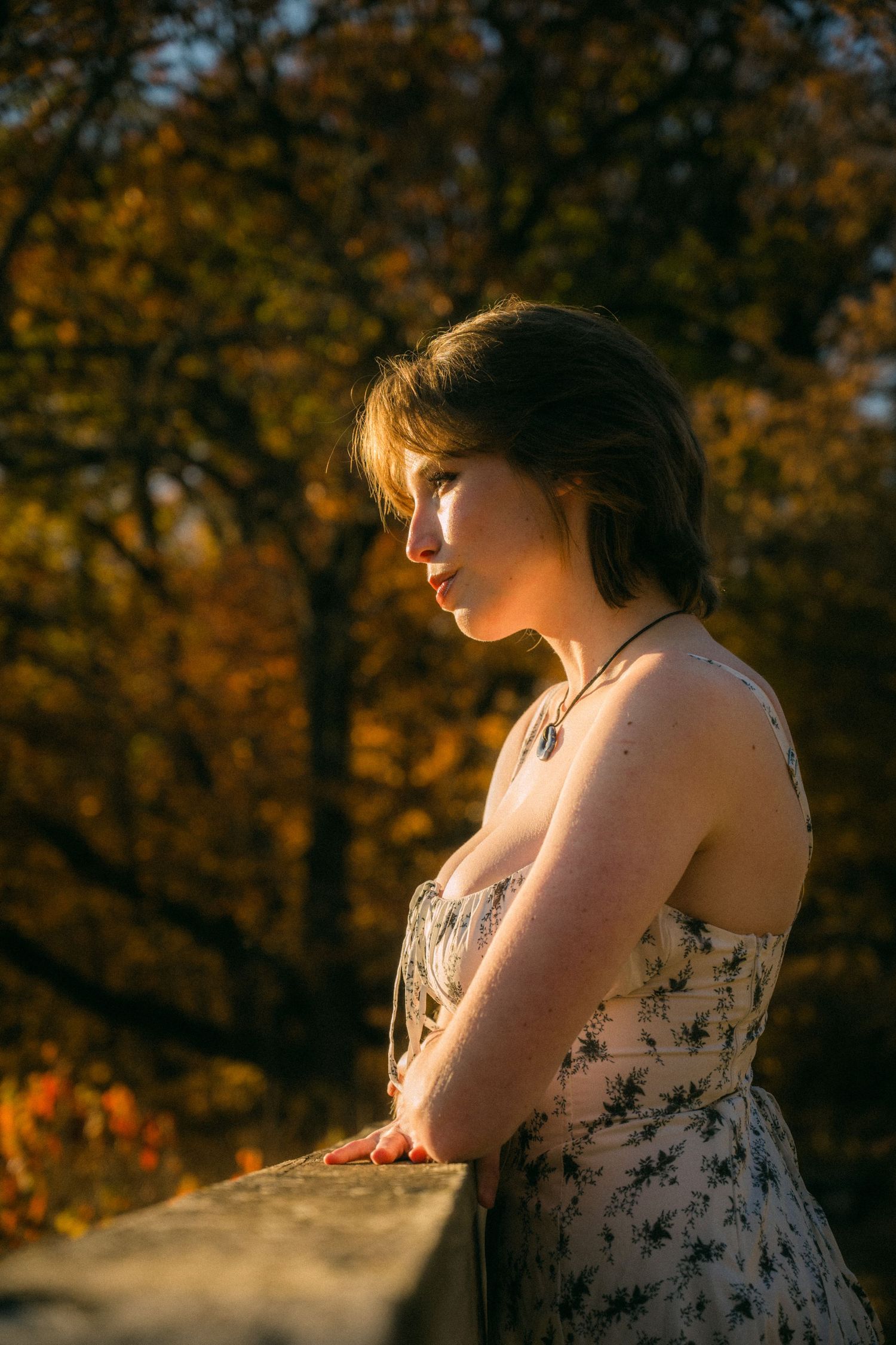 A contemplative figure leans on a railing during golden hour with fall colors in the background.