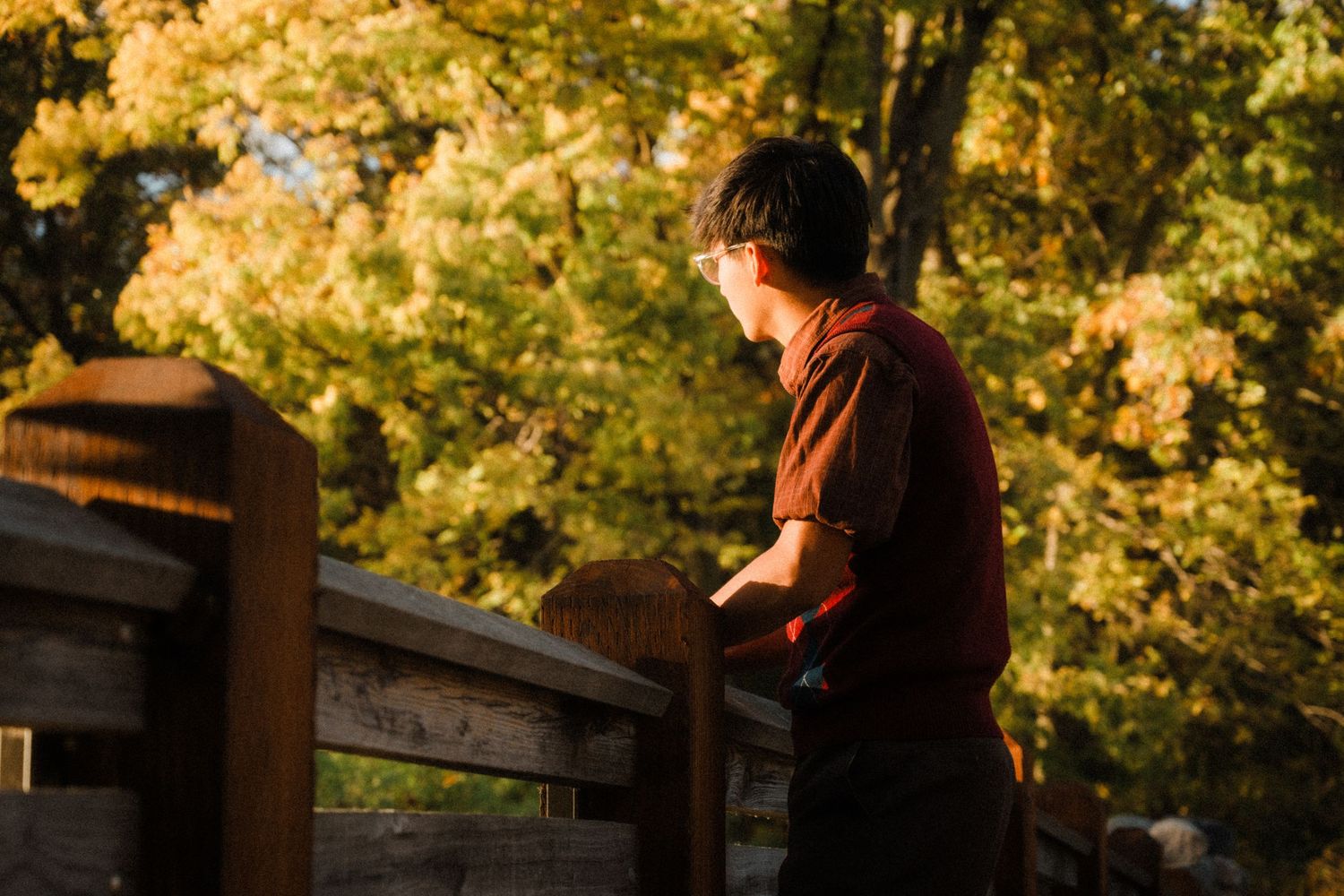 Person leaning on wooden railing during golden hour with autumn trees.
