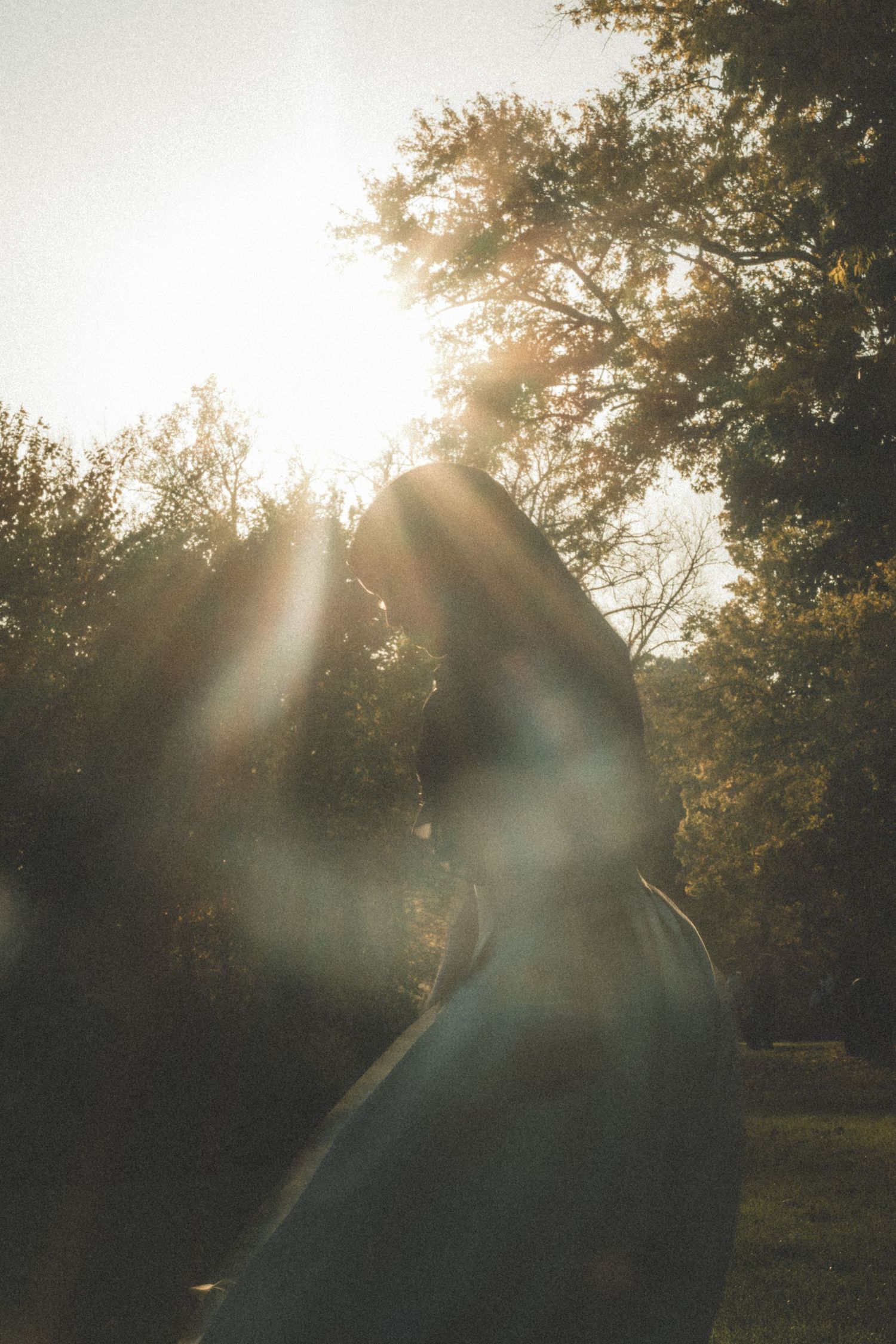A silhouette stands in dramatic backlit sunlight filtering through trees.
