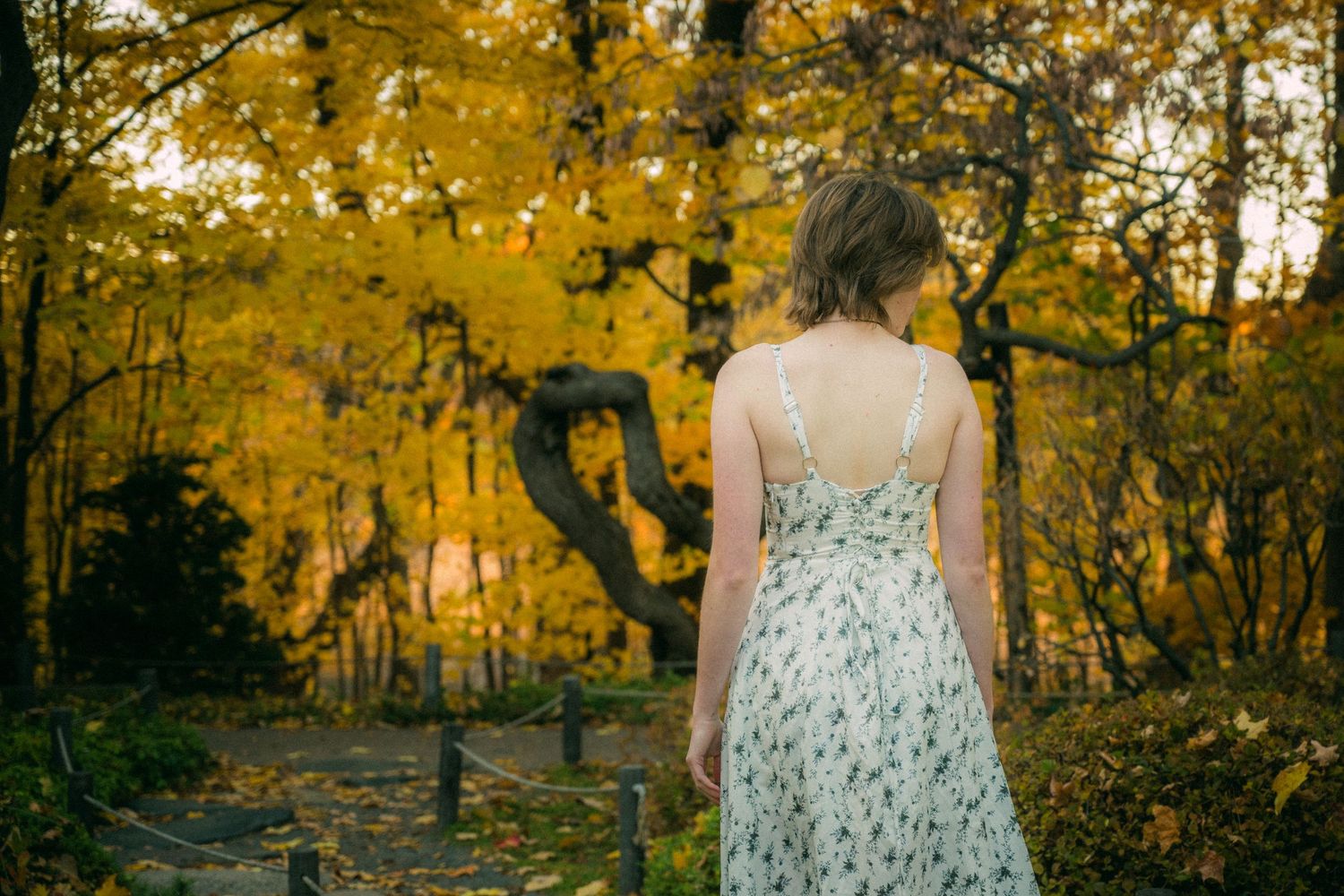 Person in floral dress viewed from behind against golden autumn forest background.