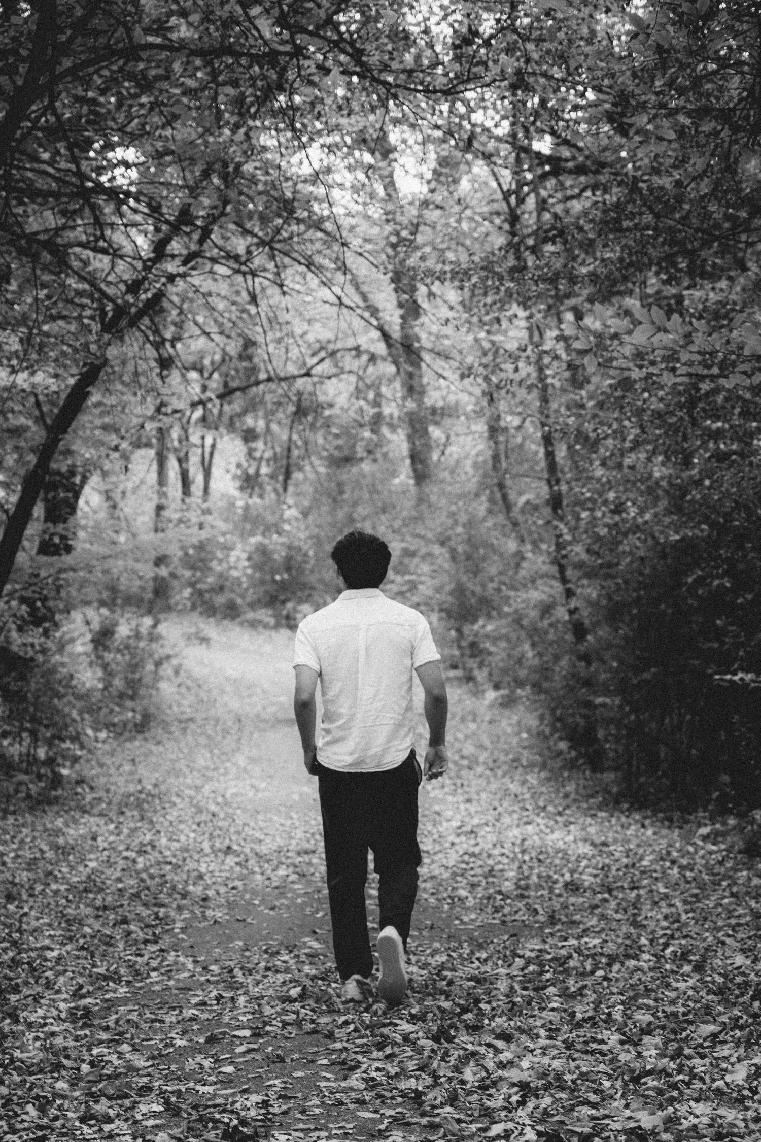 Black and white photo of person walking alone on leaf-covered forest path.