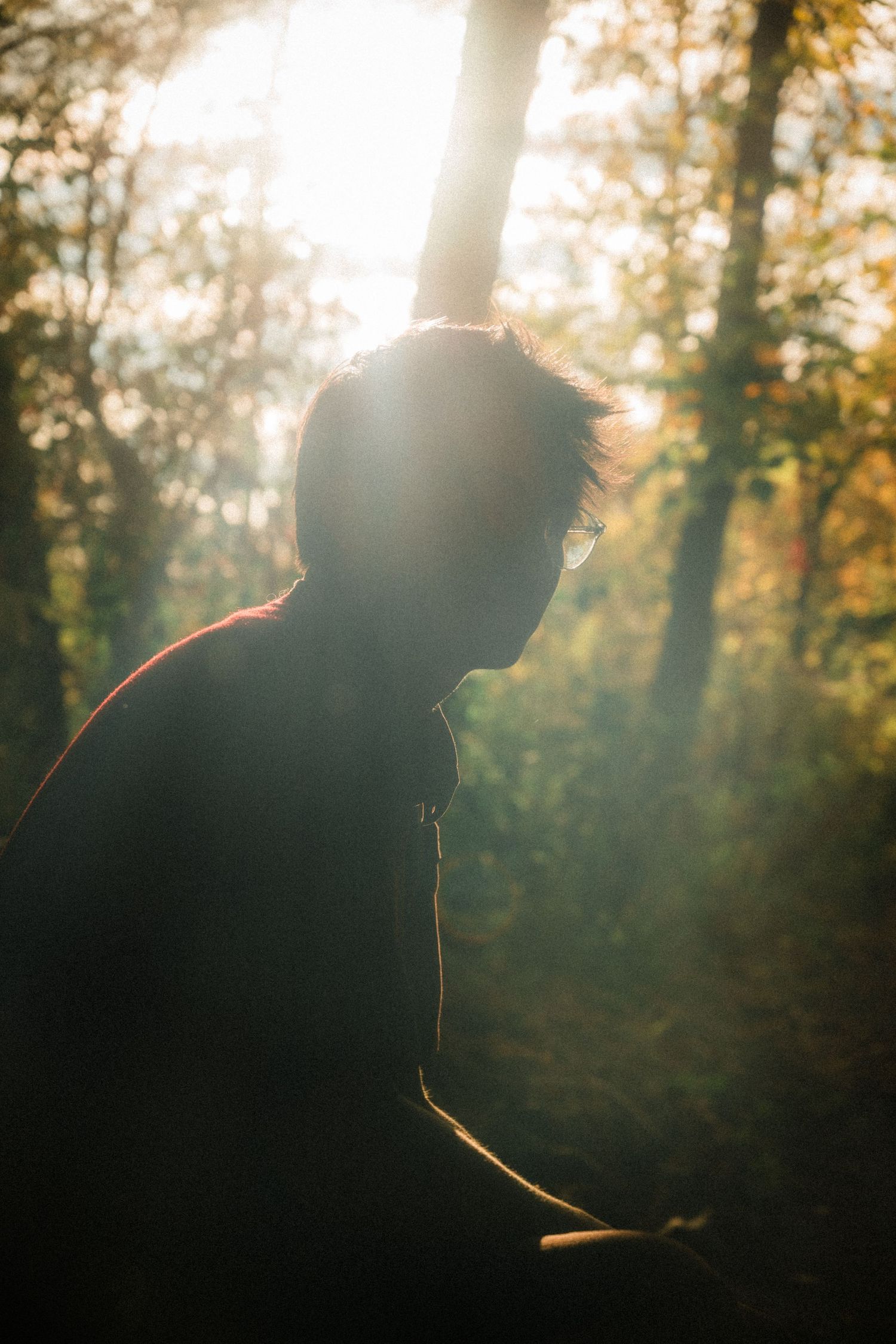 Silhouette of a person backlit by sunbeams streaming through forest trees.