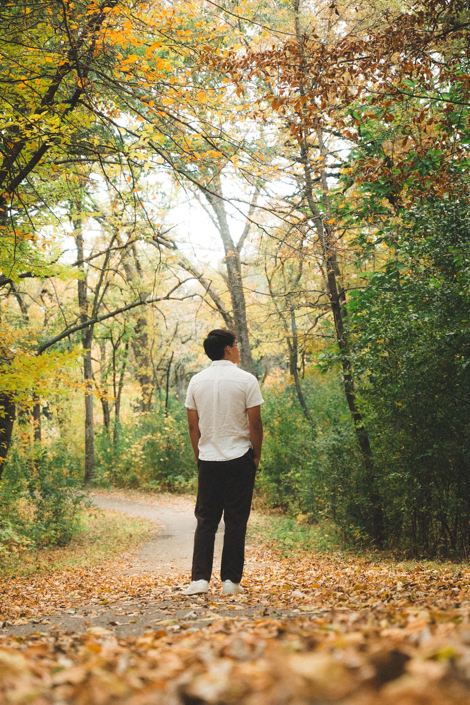Person standing on leaf-covered path in autumn forest with golden light filtering through trees.