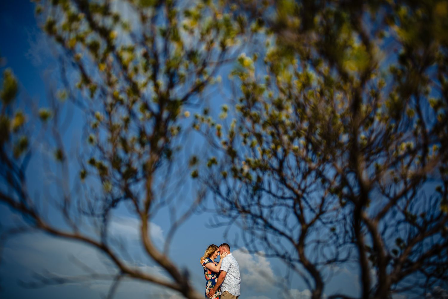 A couple embraces under tree branches against a vibrant blue sky with soft bokeh effect.
