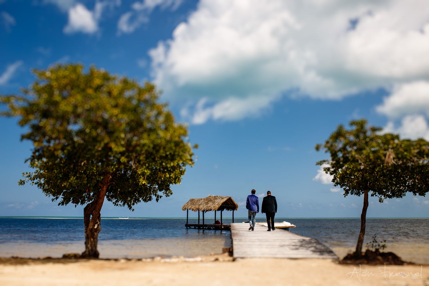 A series of beach scenes with lone trees and silhouettes against blue skies and ocean views on a tropical shoreline.