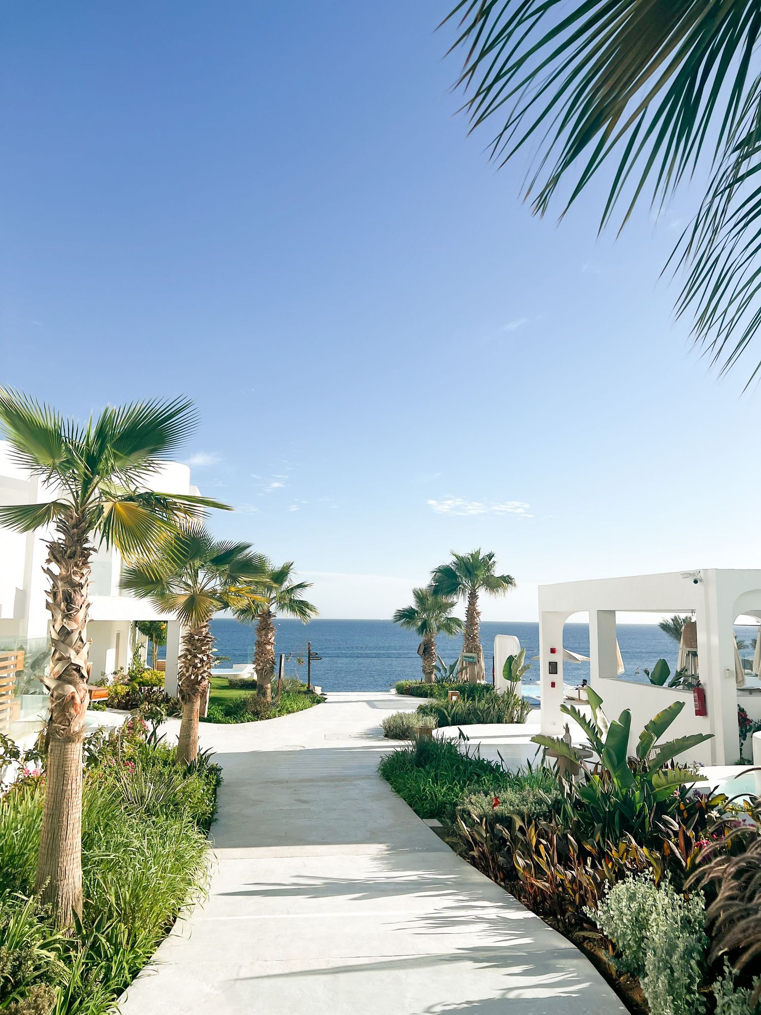 Tropical beachfront walkway with white architecture and palm trees against blue ocean views.