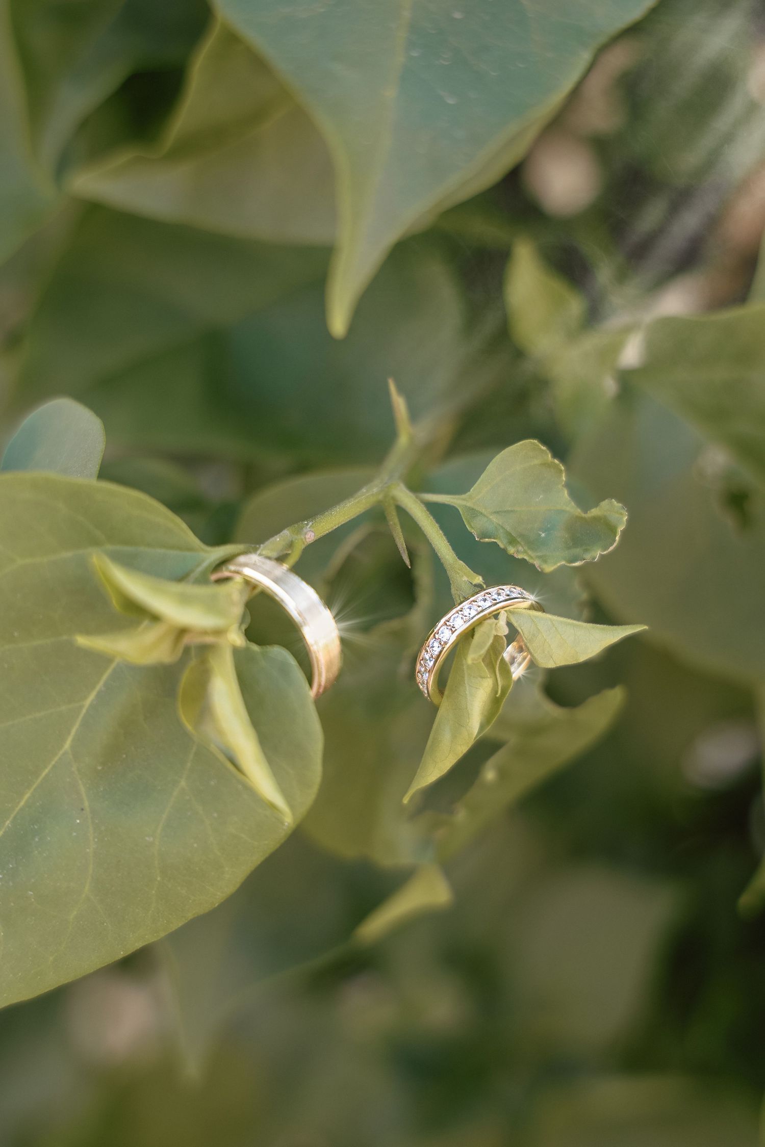 Two gold wedding rings resting on green leaves outdoors, one plain band and one diamond eternity ring.