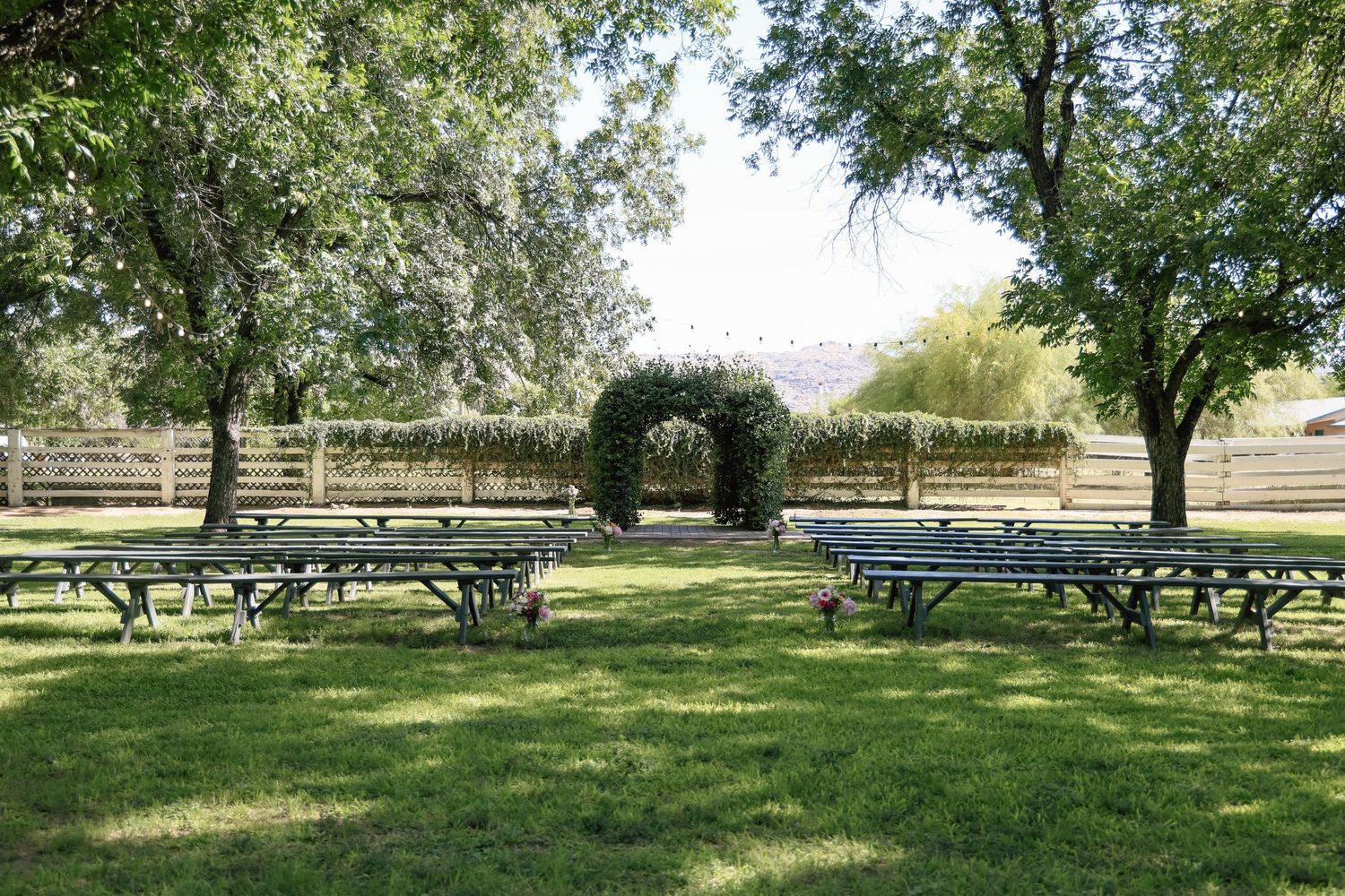 Outdoor wedding ceremony setup with picnic bench seating on green lawn beneath shady trees with ivy-covered arch.