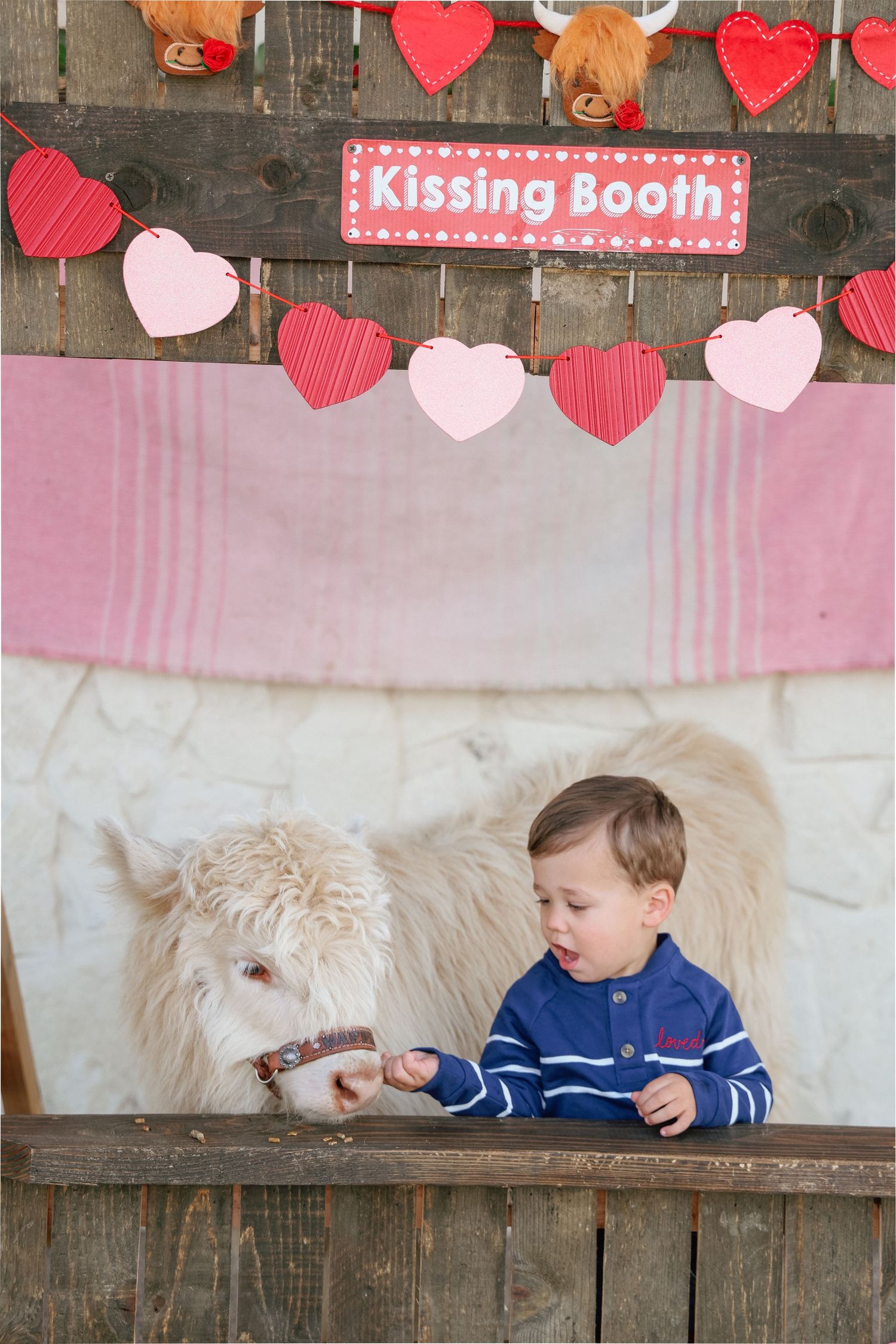 A white fluffy dog and a child in blue sit at a Valentine's Day themed kissing booth with heart decorations.