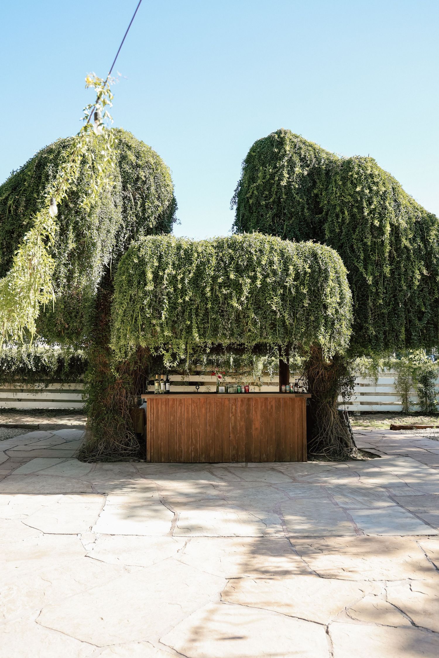 A wooden bar counter nestled under two weeping willow trees shaped into canopies on a stone patio.