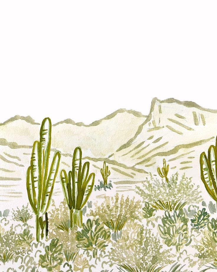 Watercolor illustration of saguaro cacti and desert shrubs with soft mountain backdrop in muted green tones.