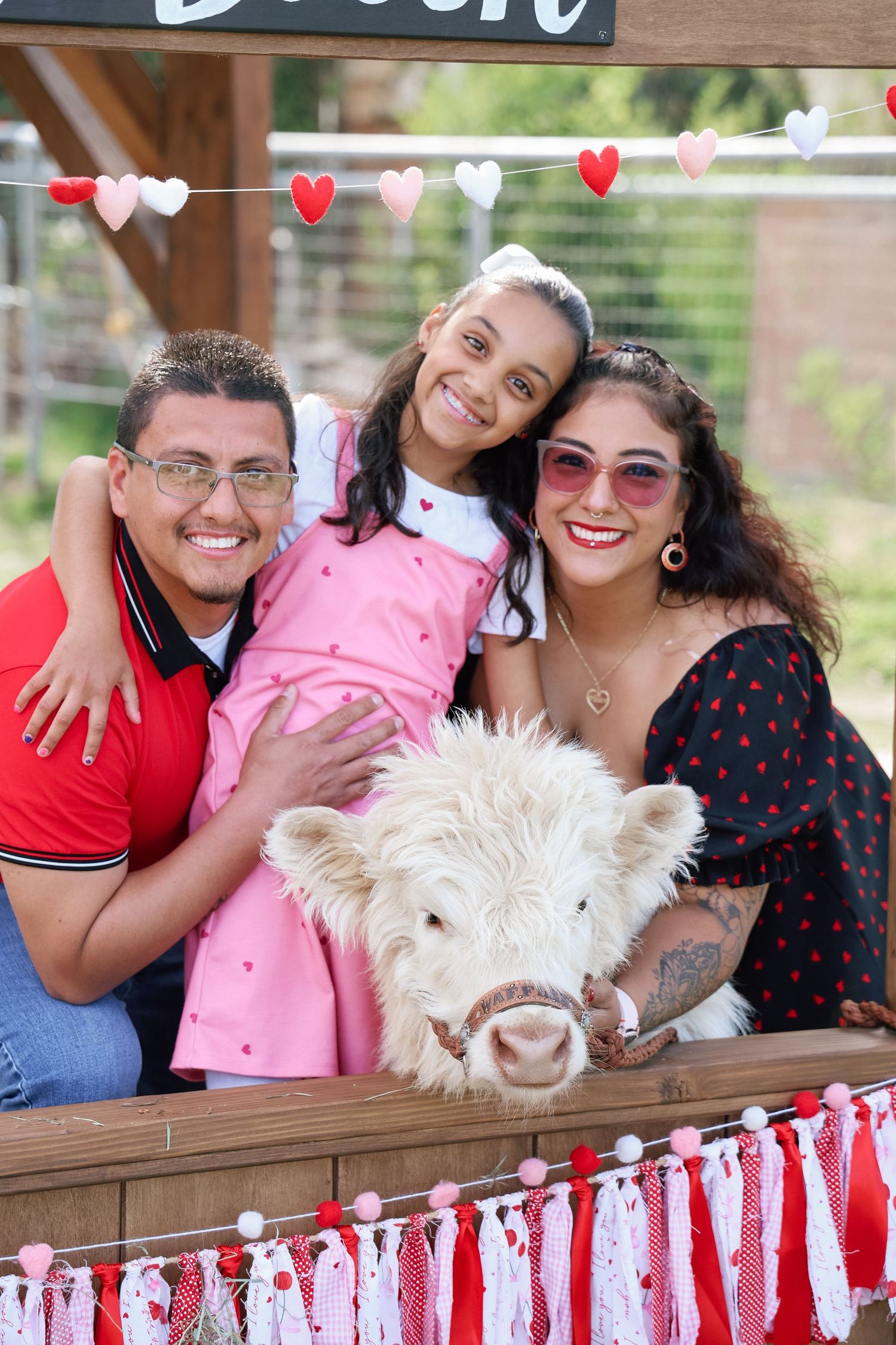 Family of three posing with a fluffy mini cow at a Valentine's Day themed photo booth with heart decorations.