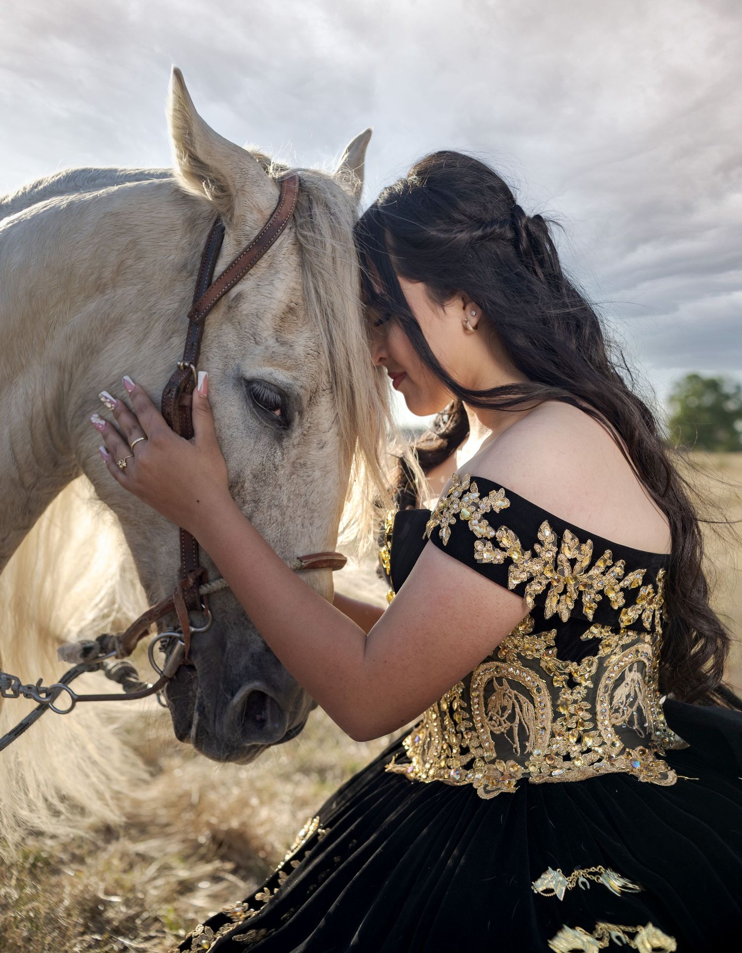 Young woman in black and gold quinceañera gown tenderly touches a white horse in a field.