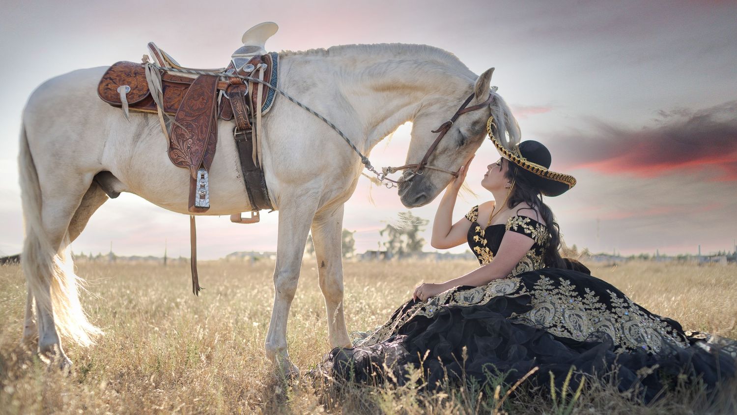 Woman in black dress and hat sits beside a white saddled horse in a golden field at sunset.