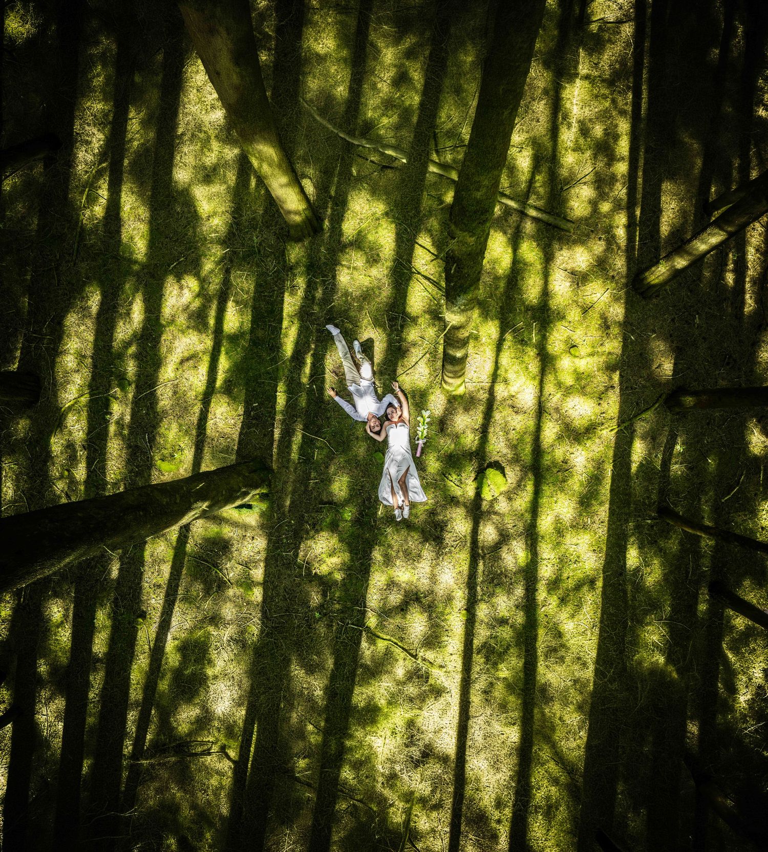 White paper cranes appear to float mysteriously against a blurred forest backdrop with dappled sunlight.
