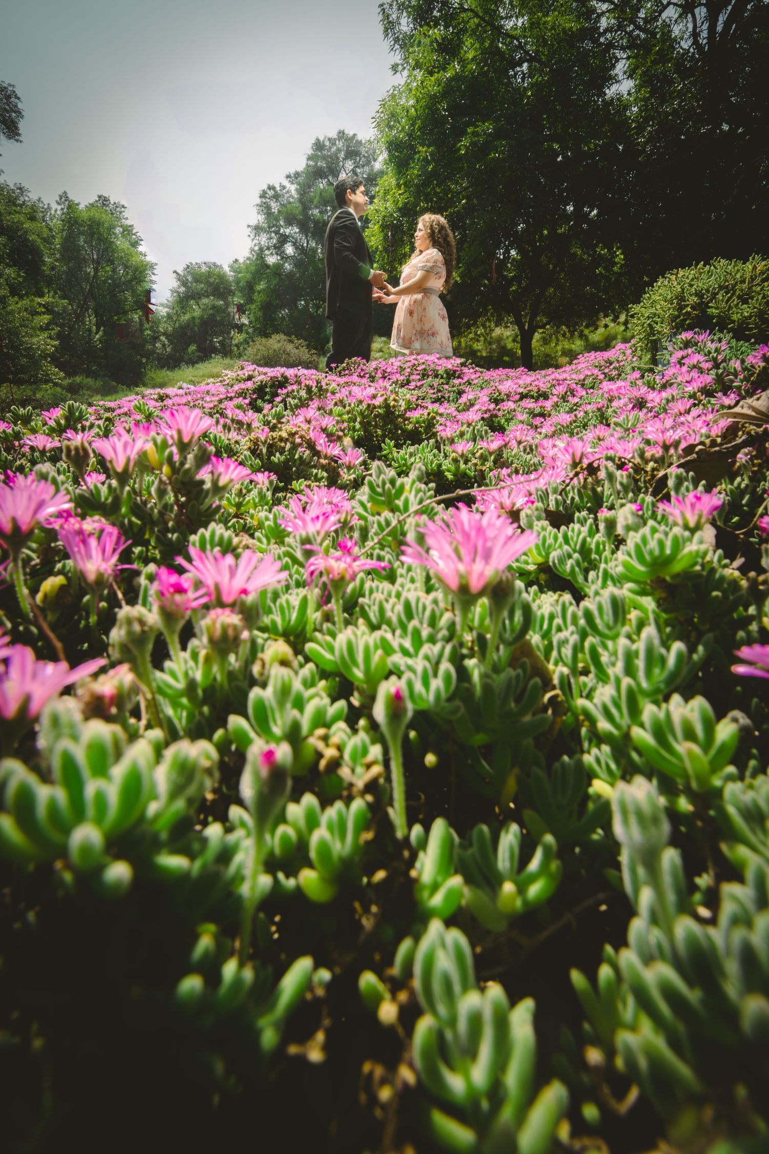 Couple standing among vibrant pink flowers in a lush garden, surrounded by green trees.