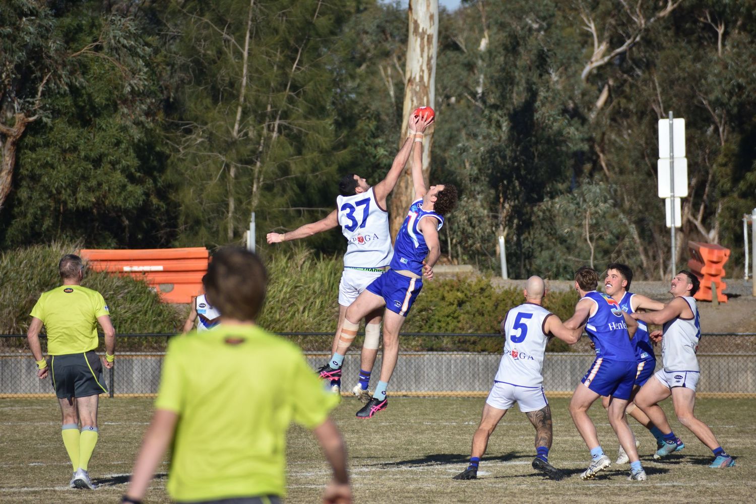 Ruck's fighting for the ball - sports photography