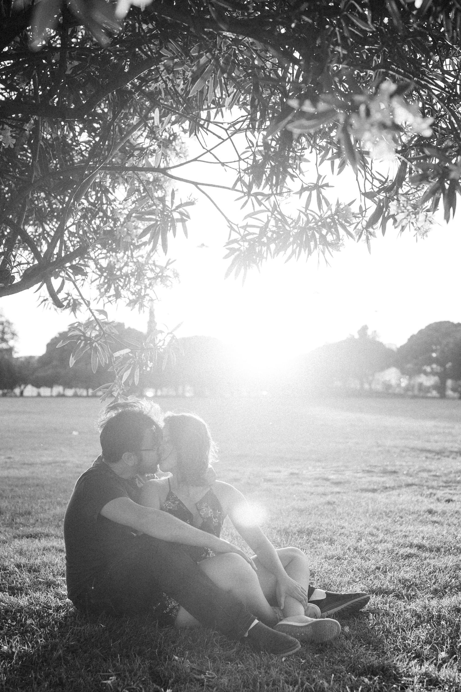 Black and white image showing silhouettes of people relaxing under a tree on a sunny day with lens flare effects.