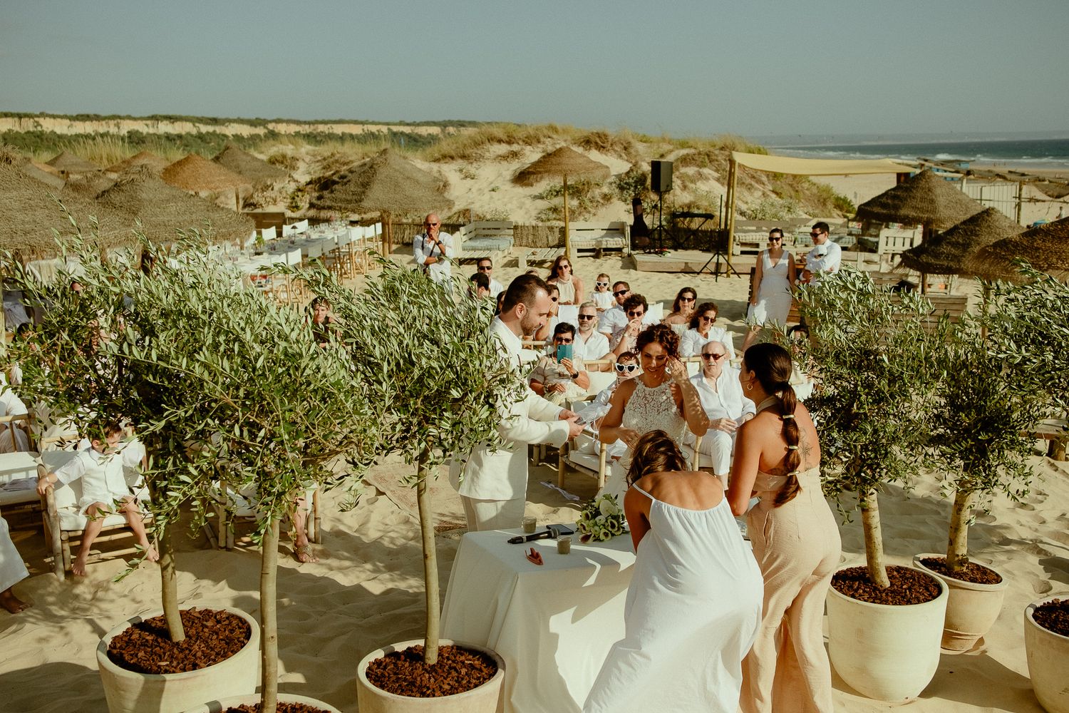 Elegant beach wedding reception with guests in white attire, olive trees in pots, and sandy dunes backdrop.