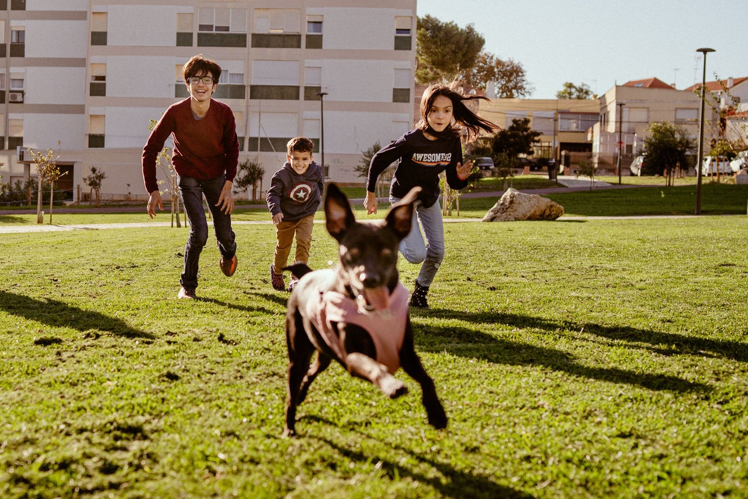 Dog and people play soccer together on a grassy field in a city park on a sunny afternoon.
