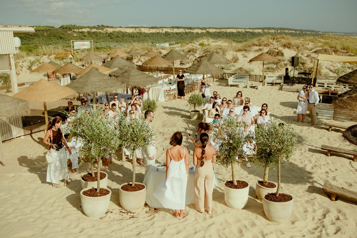 Outdoor beach wedding ceremony with guests in white attire surrounded by potted olive trees and thatched umbrellas.