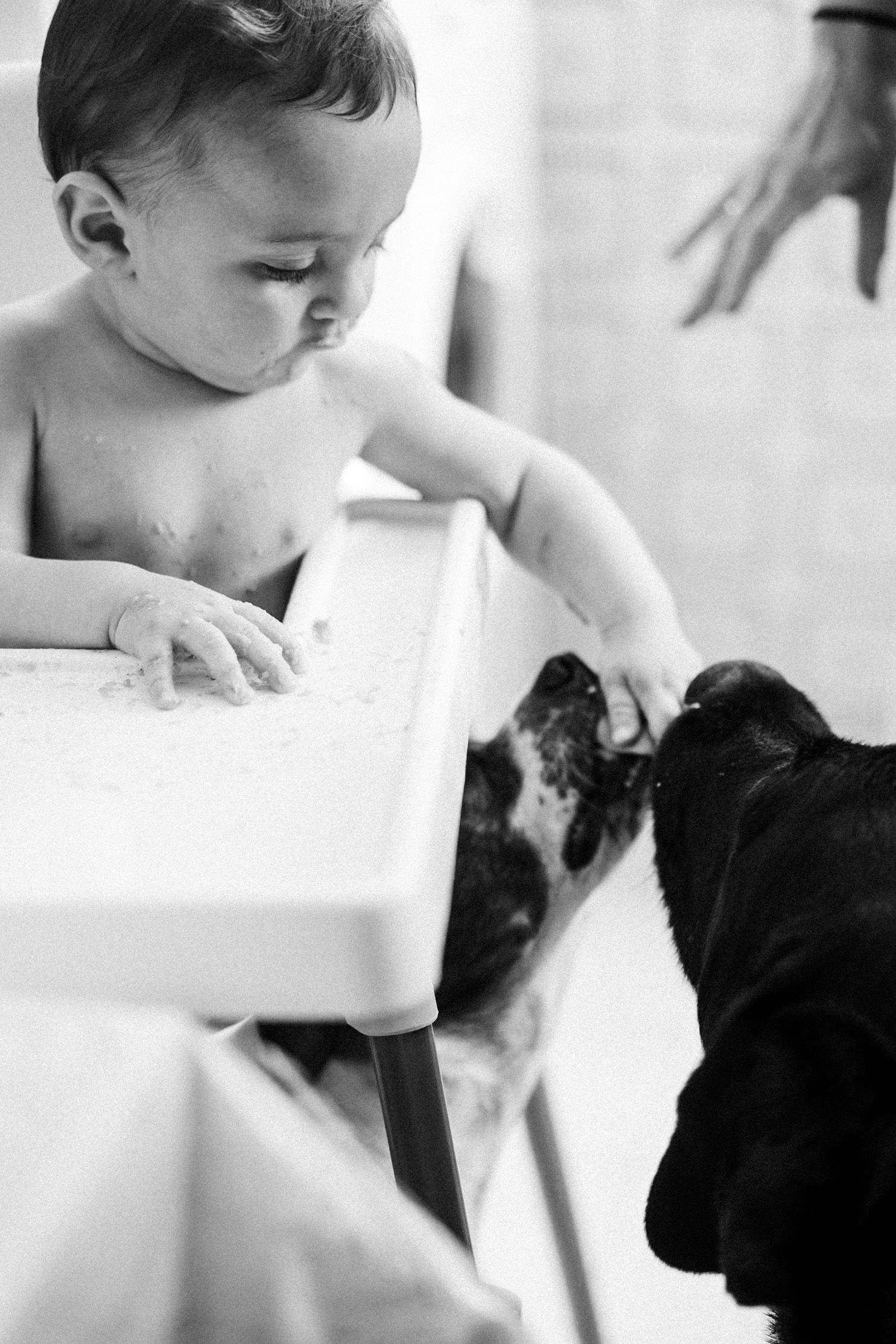 Black and white photo showing baby reaching down from highchair to greet a dog in tender moment.