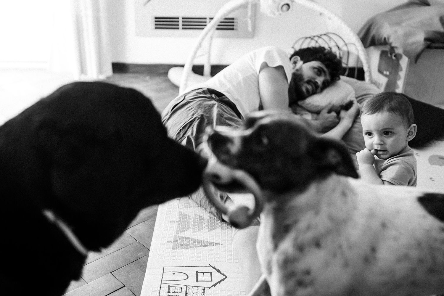 Child doing homework at a table with a dog looking on in black and white photograph.
